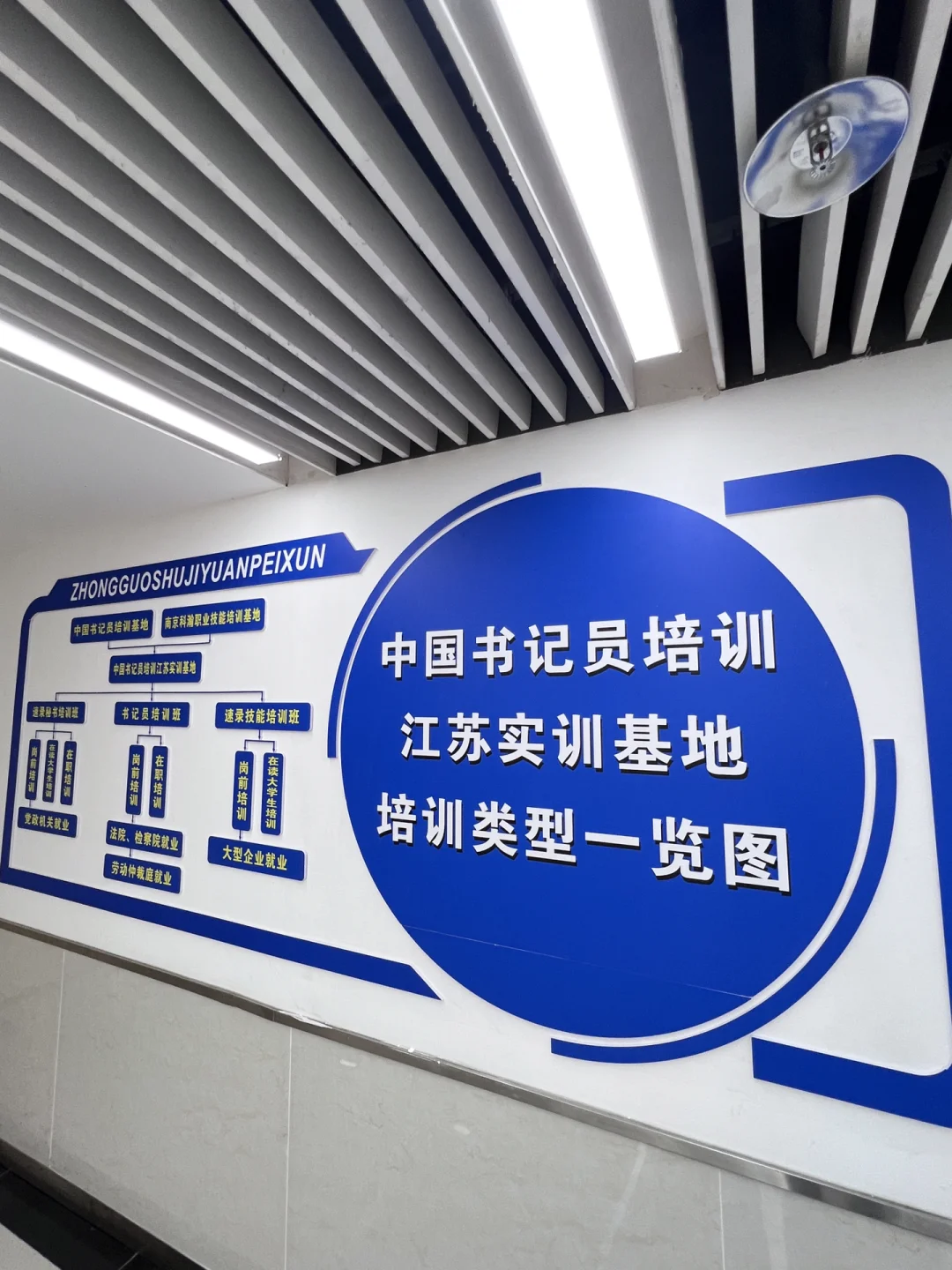 书记员报名开始啦！