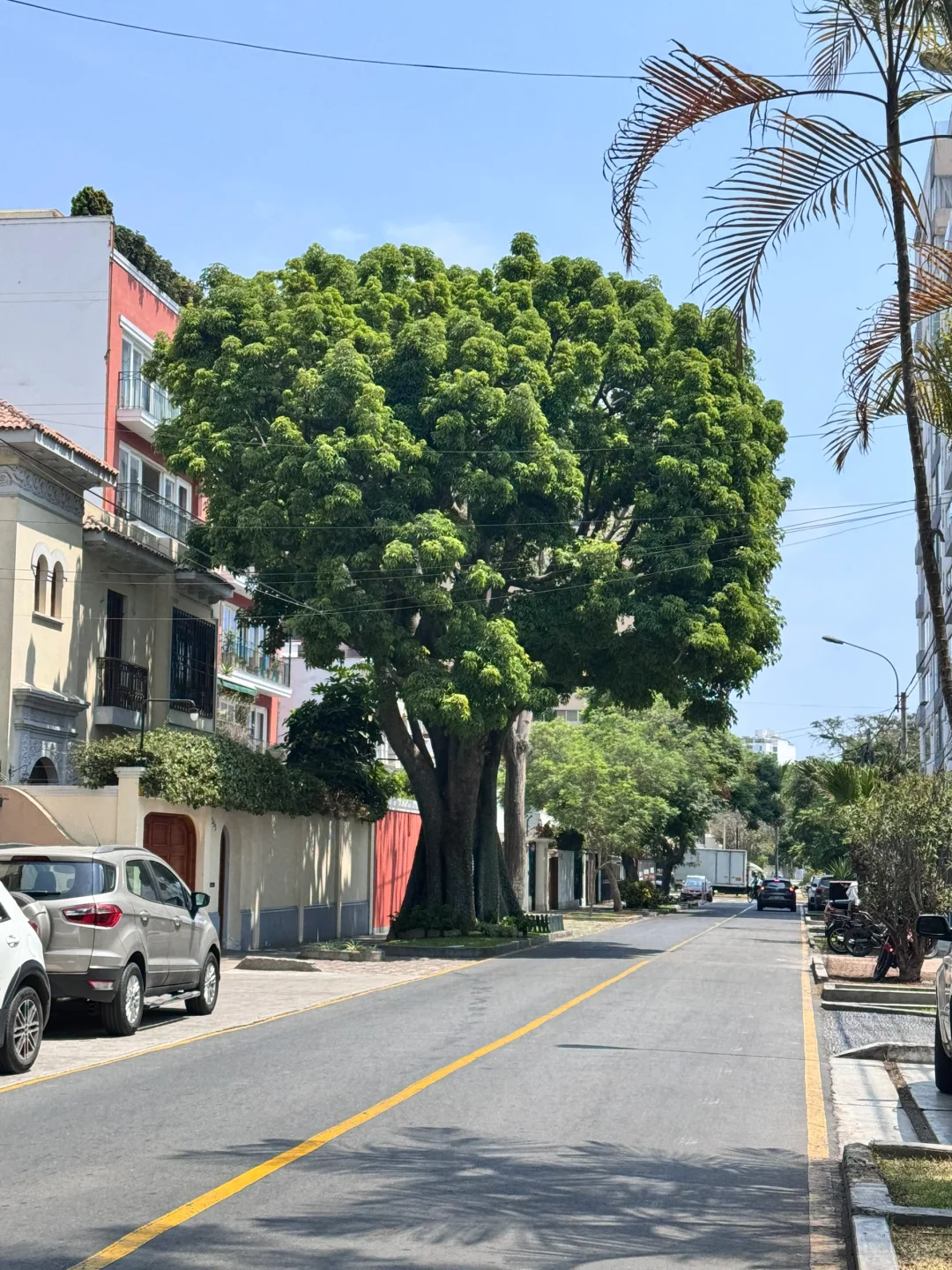 想找外派工作都看过来啦！攻略➕避坑🌍