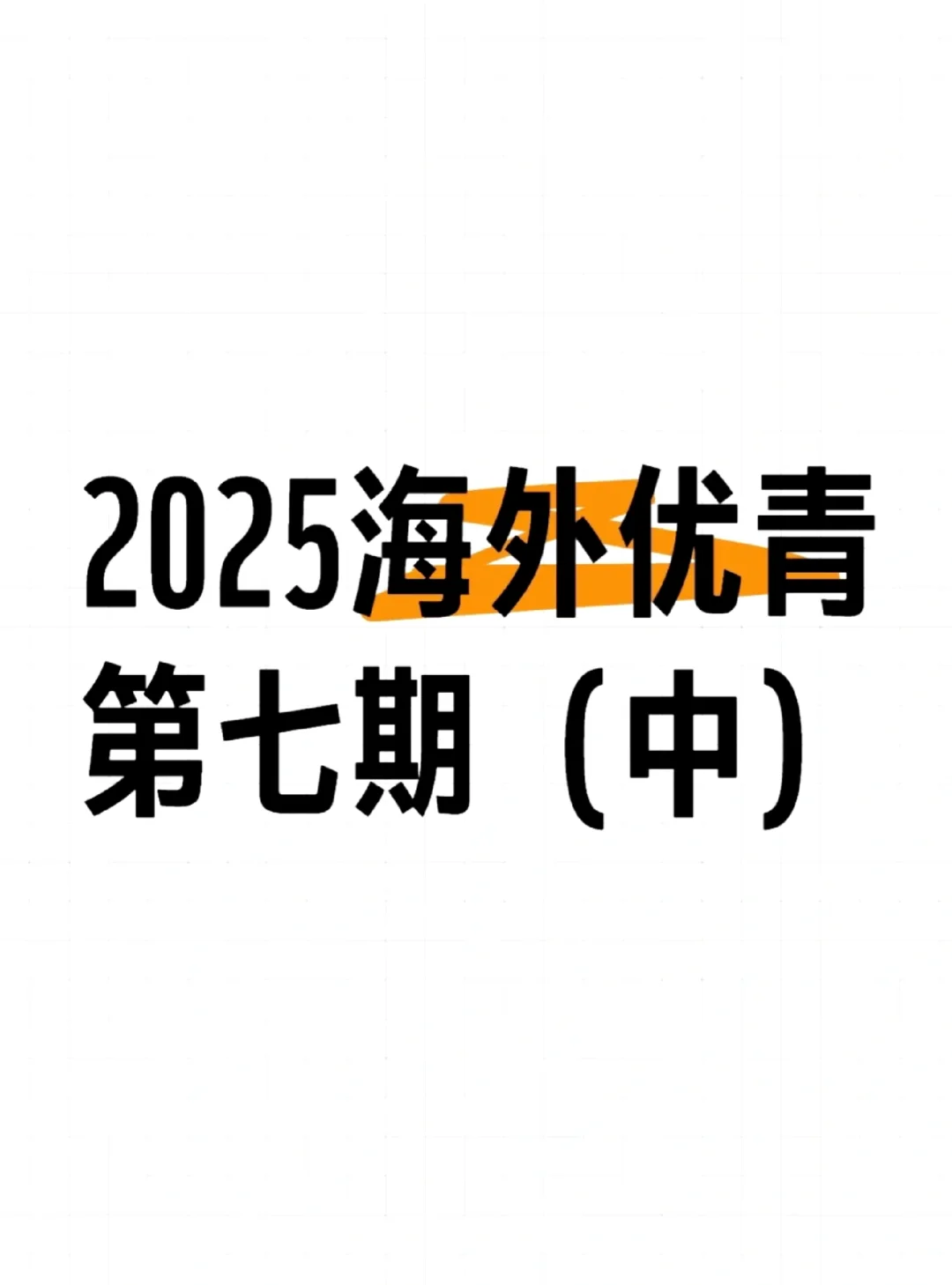 2025海外优青第七期（中）
