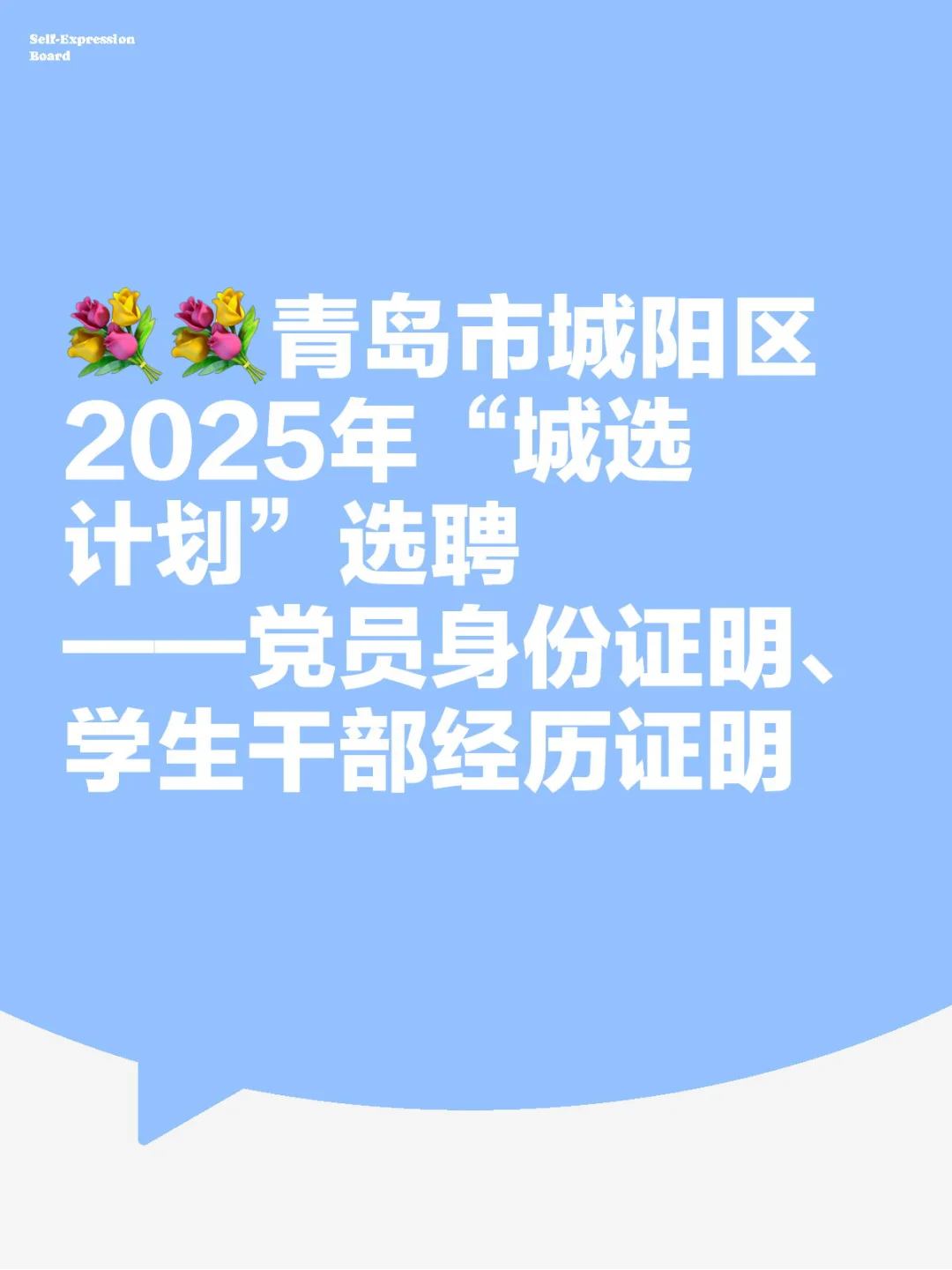 青岛市城阳区2025年“城选计划”选聘相关证明