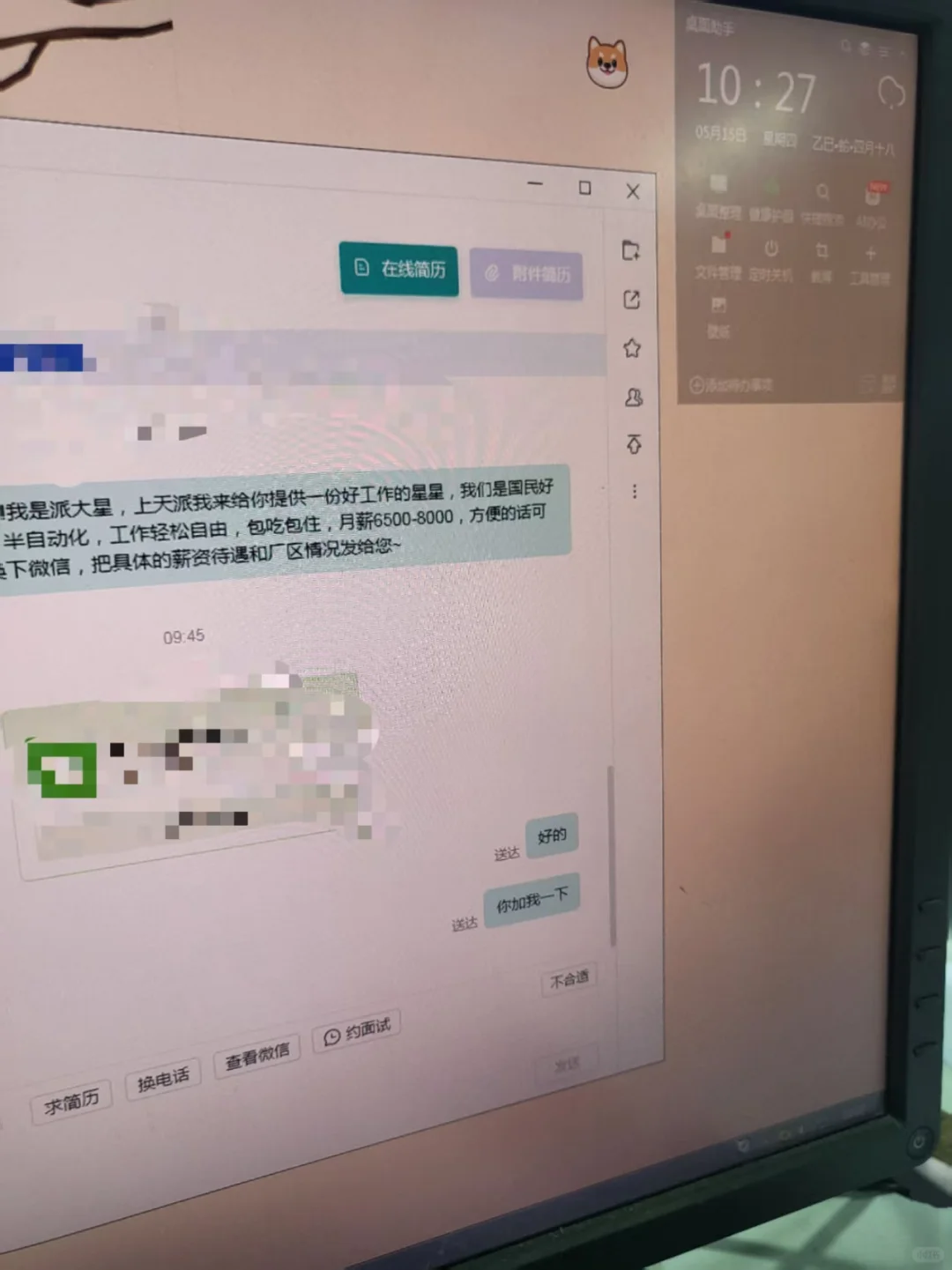 新站区的神仙工作