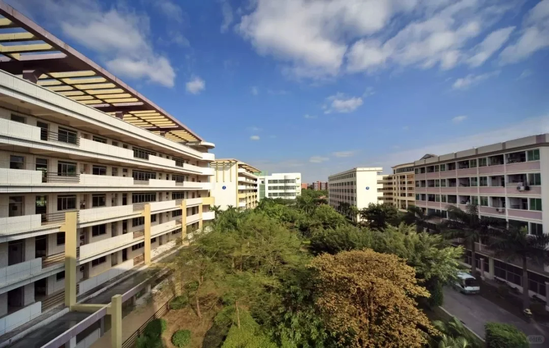 广州松田职业学院