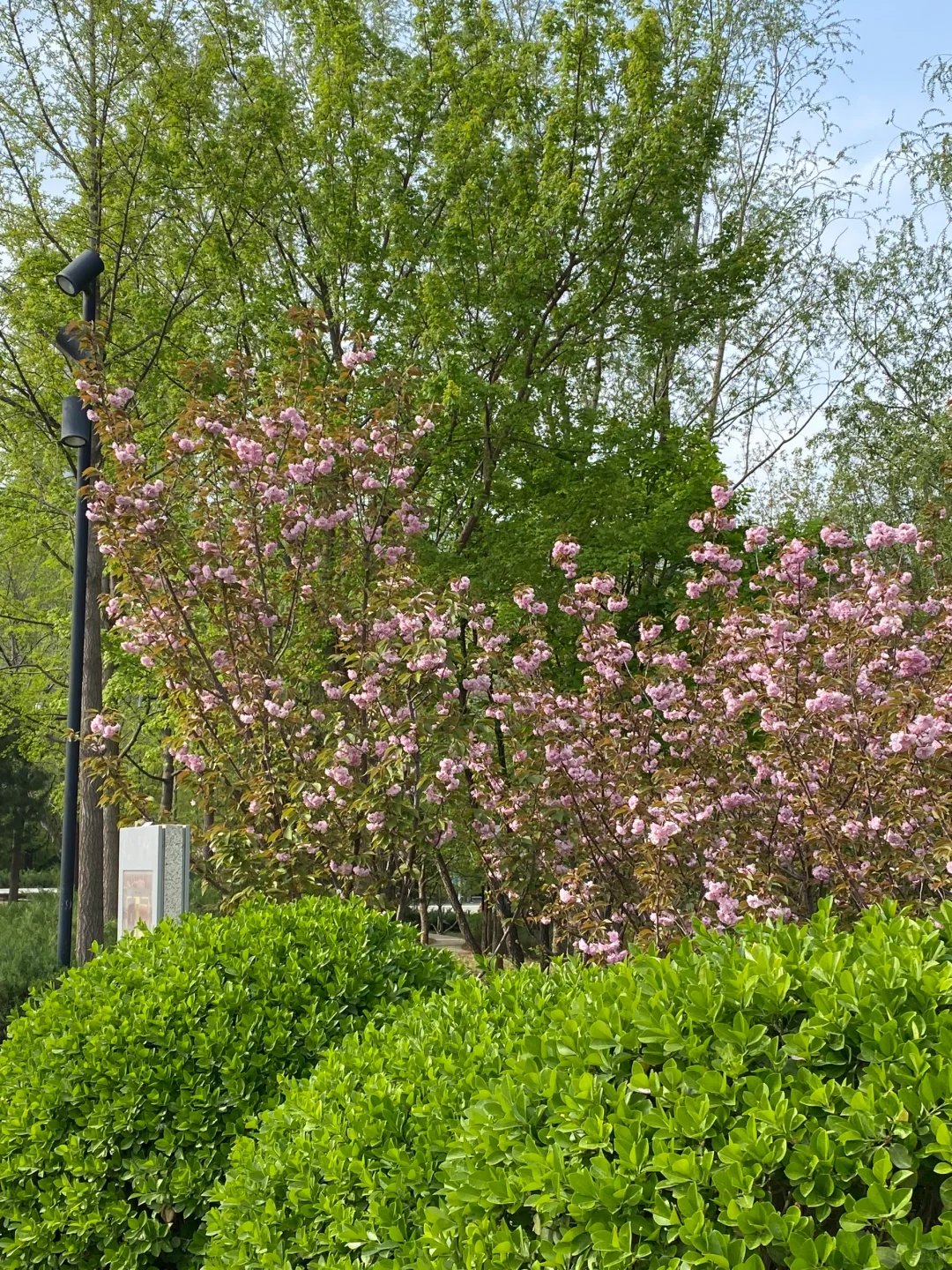 总台没有拿到offer有感