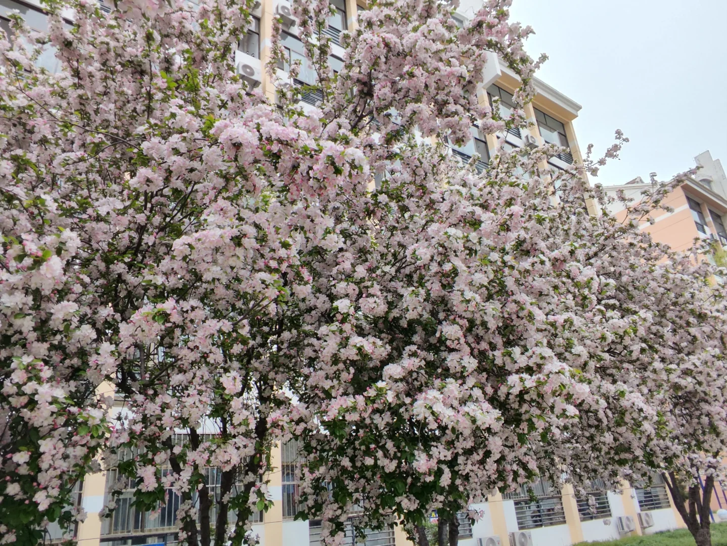 和田市教师招聘高中历史为什么找不到答案