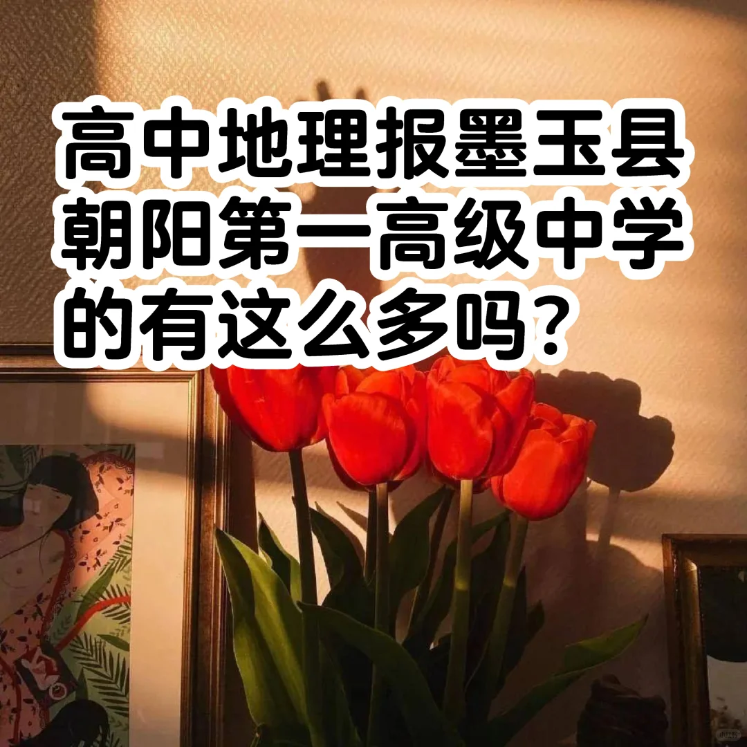 和田教师招聘都报了那些岗位