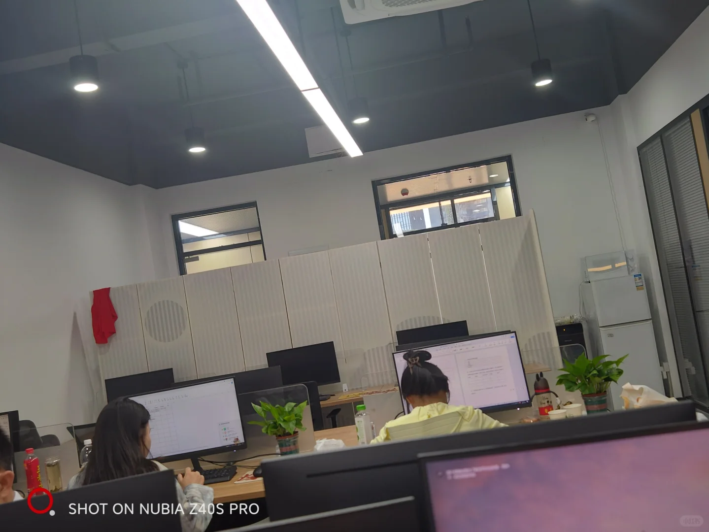 新公司开业，招人招人。大量招人