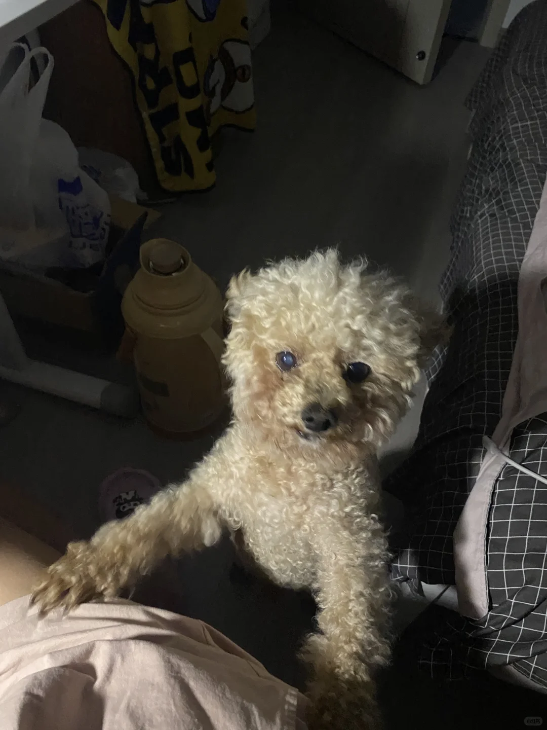 📚重启学习计划Day5 ｜在重复中看见生长的力