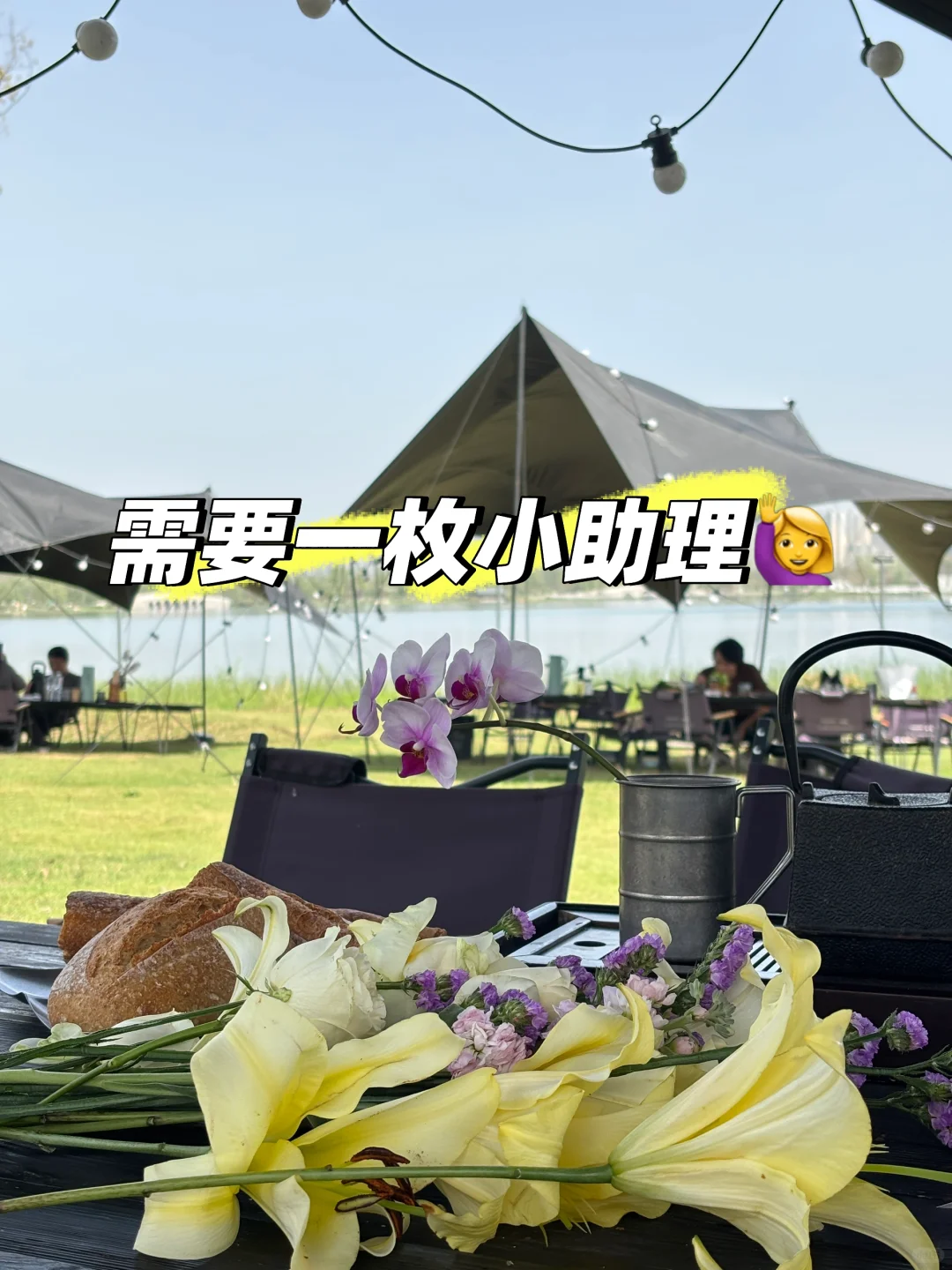寻找一枚小助理🙋‍♀️