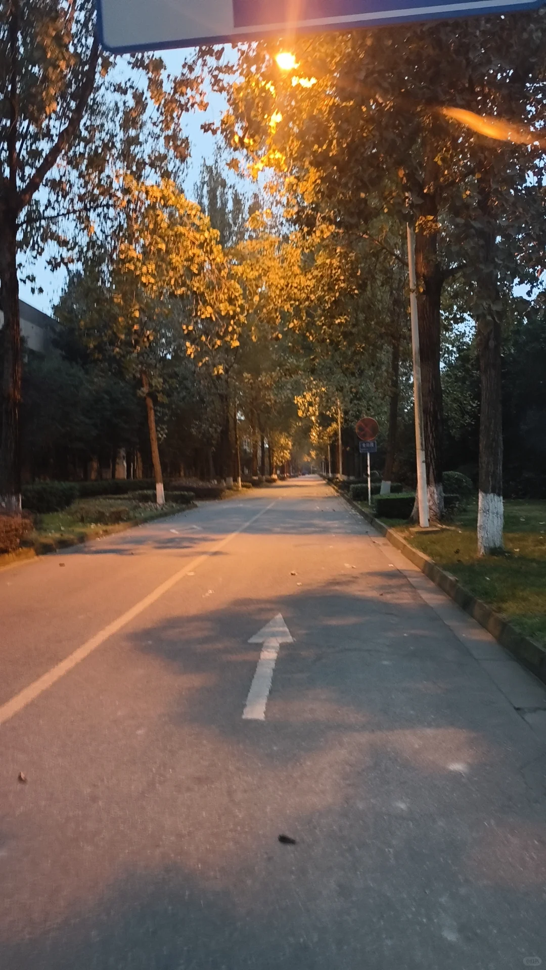 西华大学到底怎么样啊