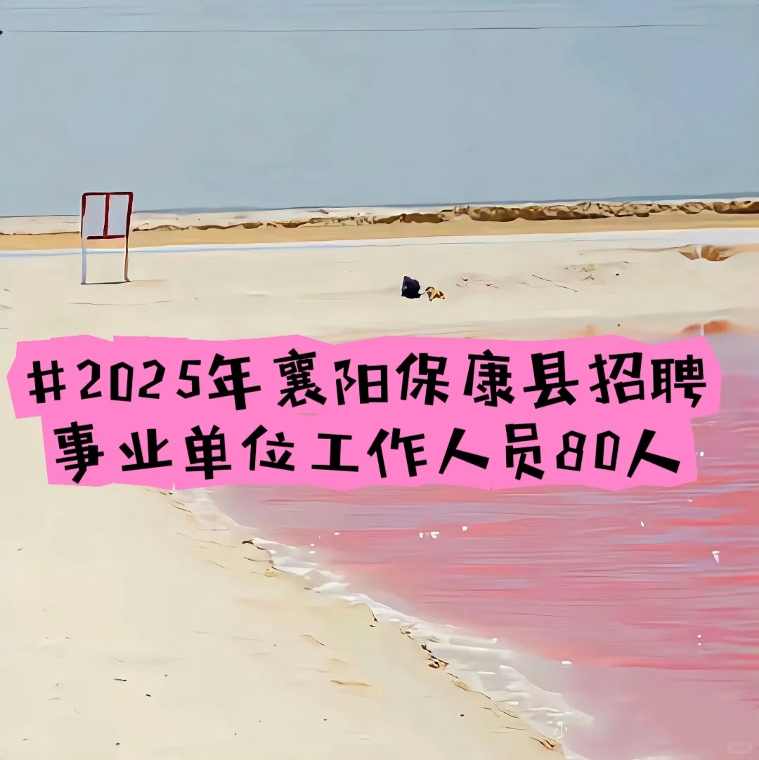 2025年武汉东湖新区招聘中小学教师618人