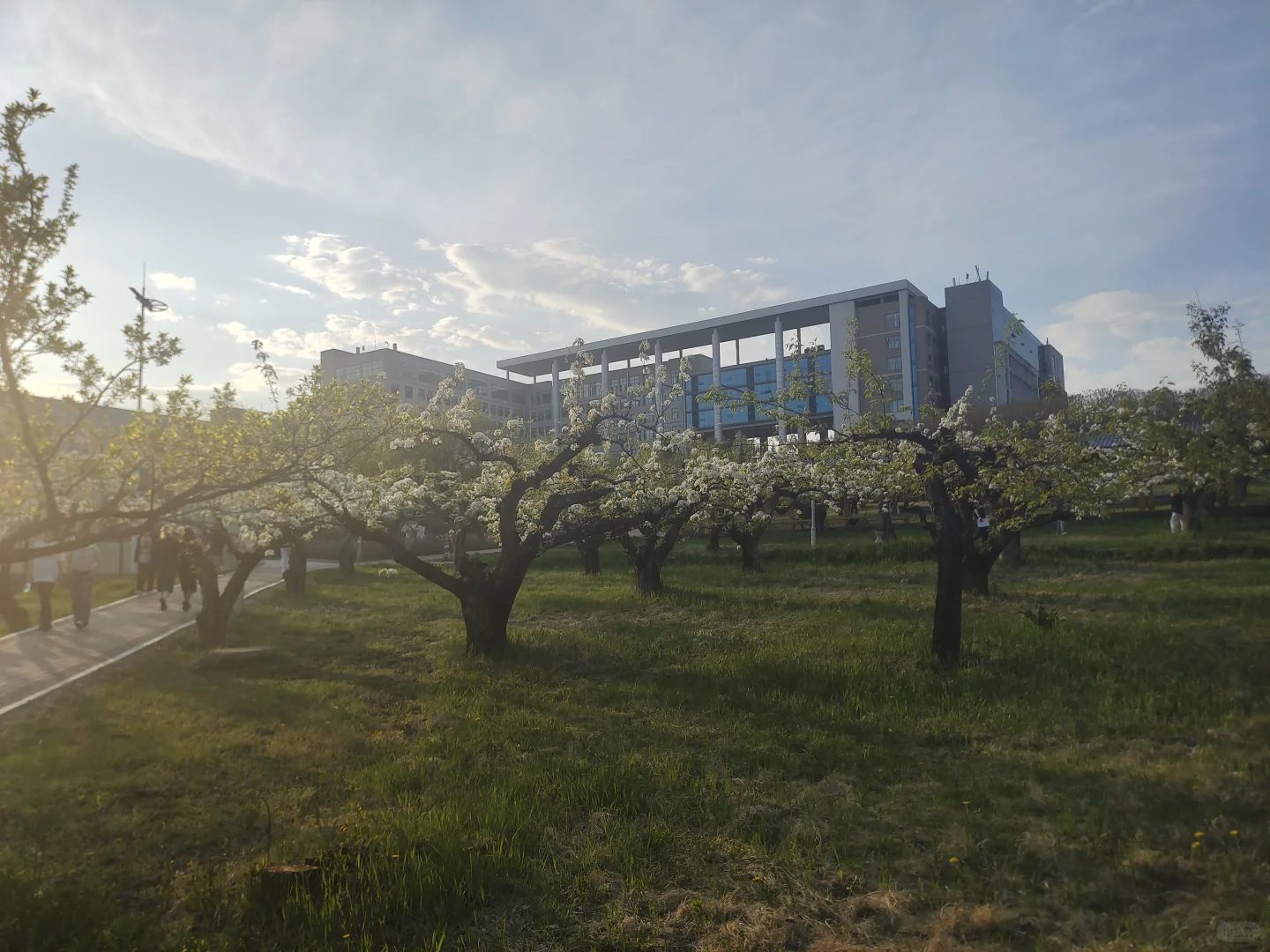 终于来了！国子监！延边大学