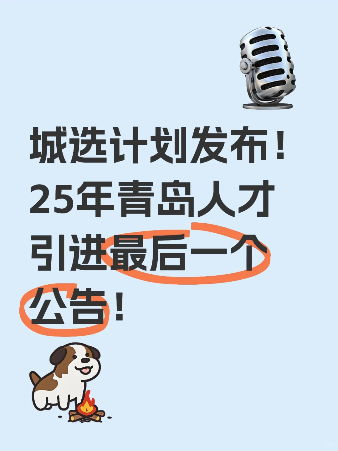 城选计划！25年青岛人才引进最后一个公告