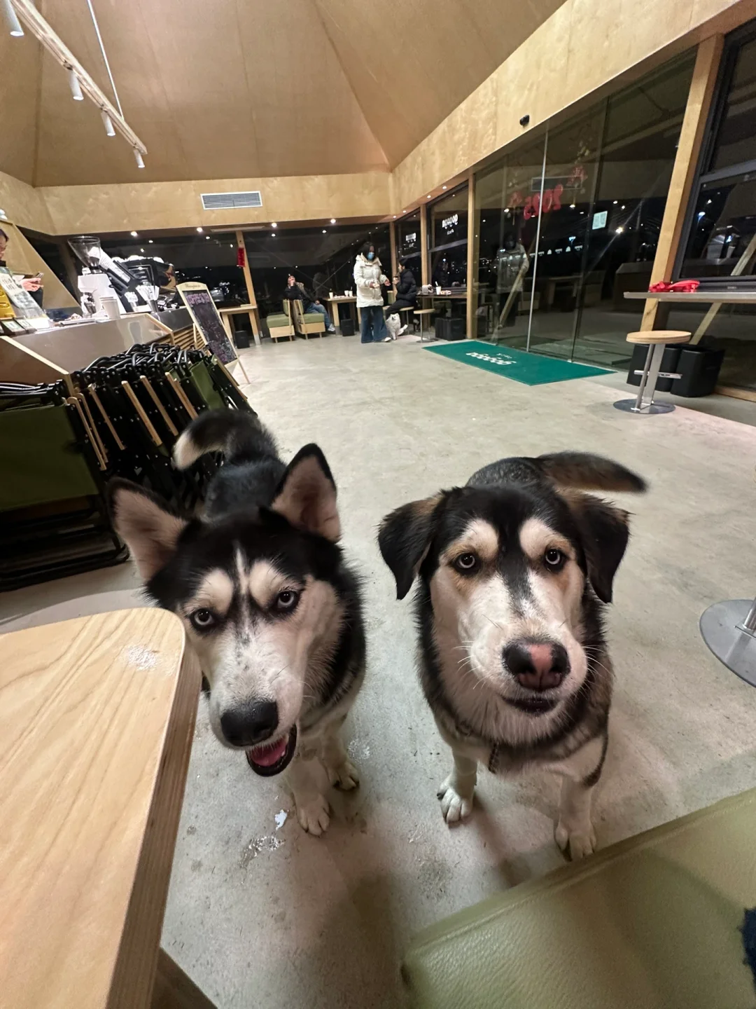 苏州招聘｜不做牛马，来公园里上个班吧！！