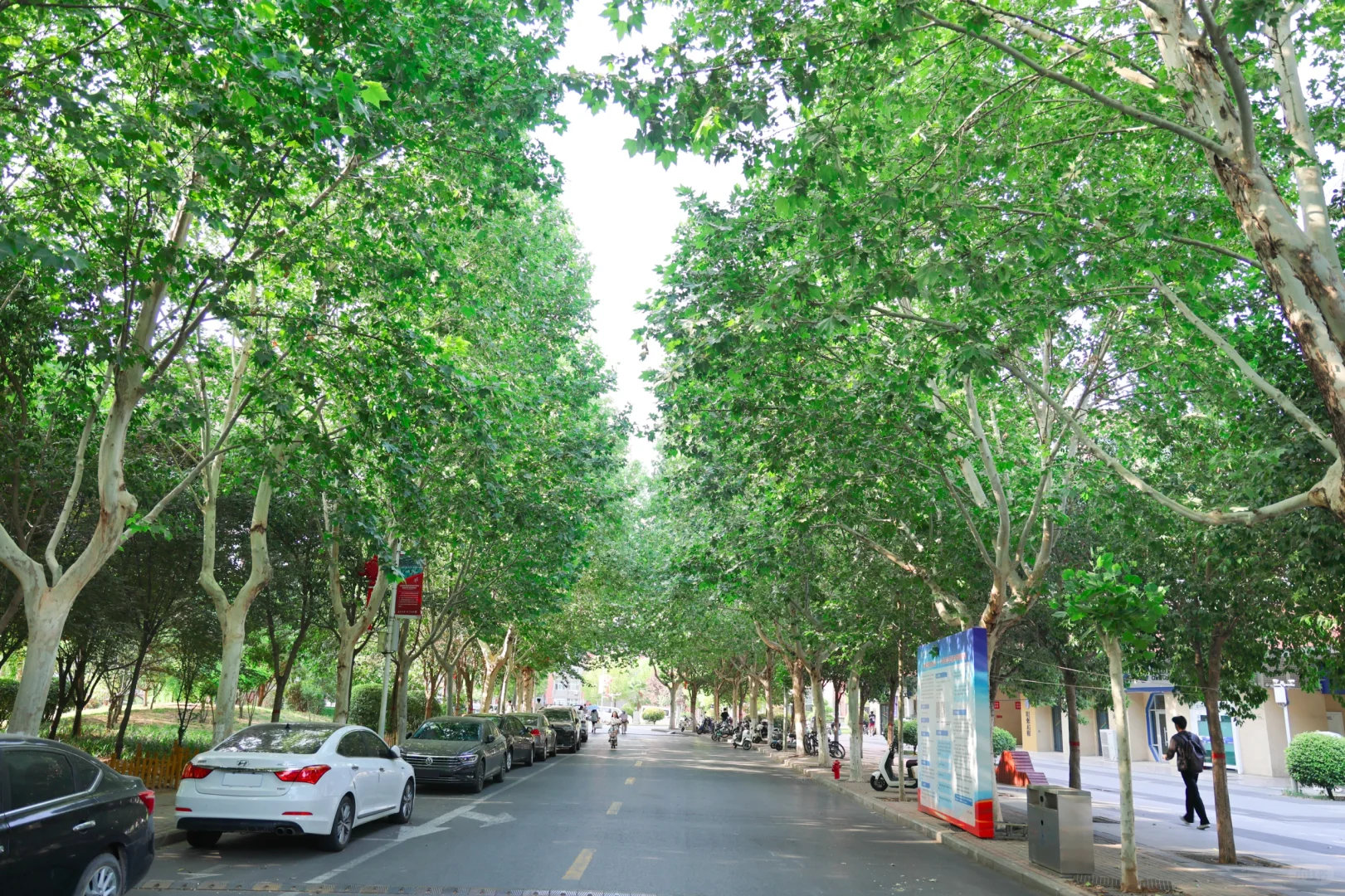 学姐今天带大家初步认识一下郑州轻工业大学