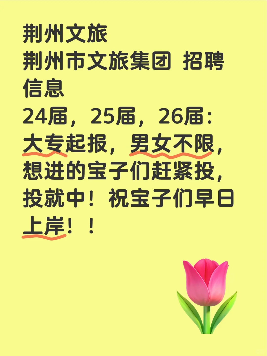 荆抖文旅招聘！！！