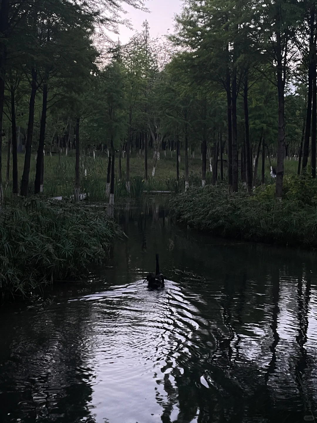 招聘两位男管家（需有经验）