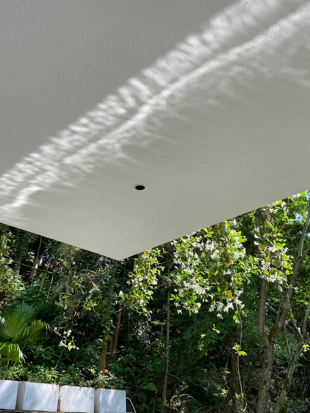 招聘两位男管家（需有经验）