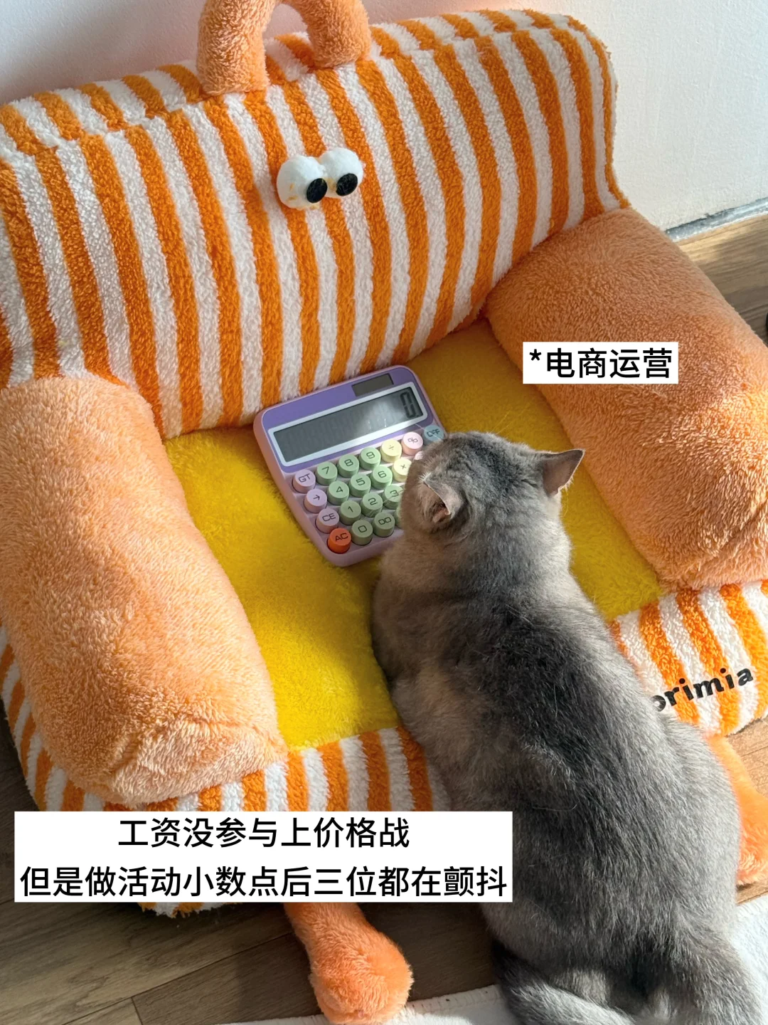 🤔双休宠物公司都有哪些岗位？