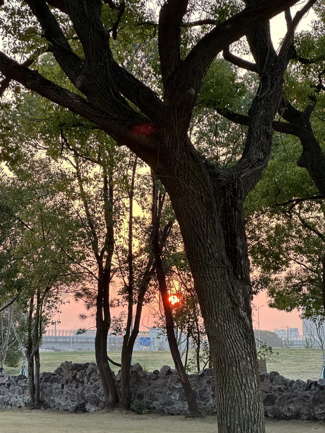 苏州招聘｜不做牛马，来公园里上个班吧！！