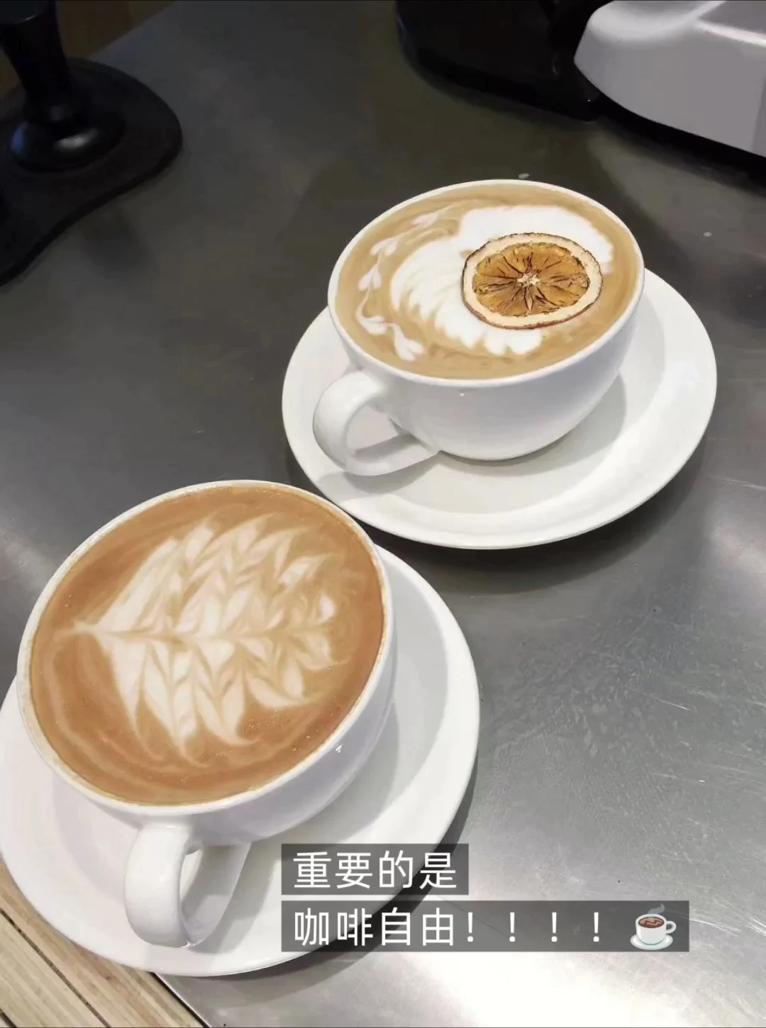 苏州招聘｜不做牛马，来公园里上个班吧！！