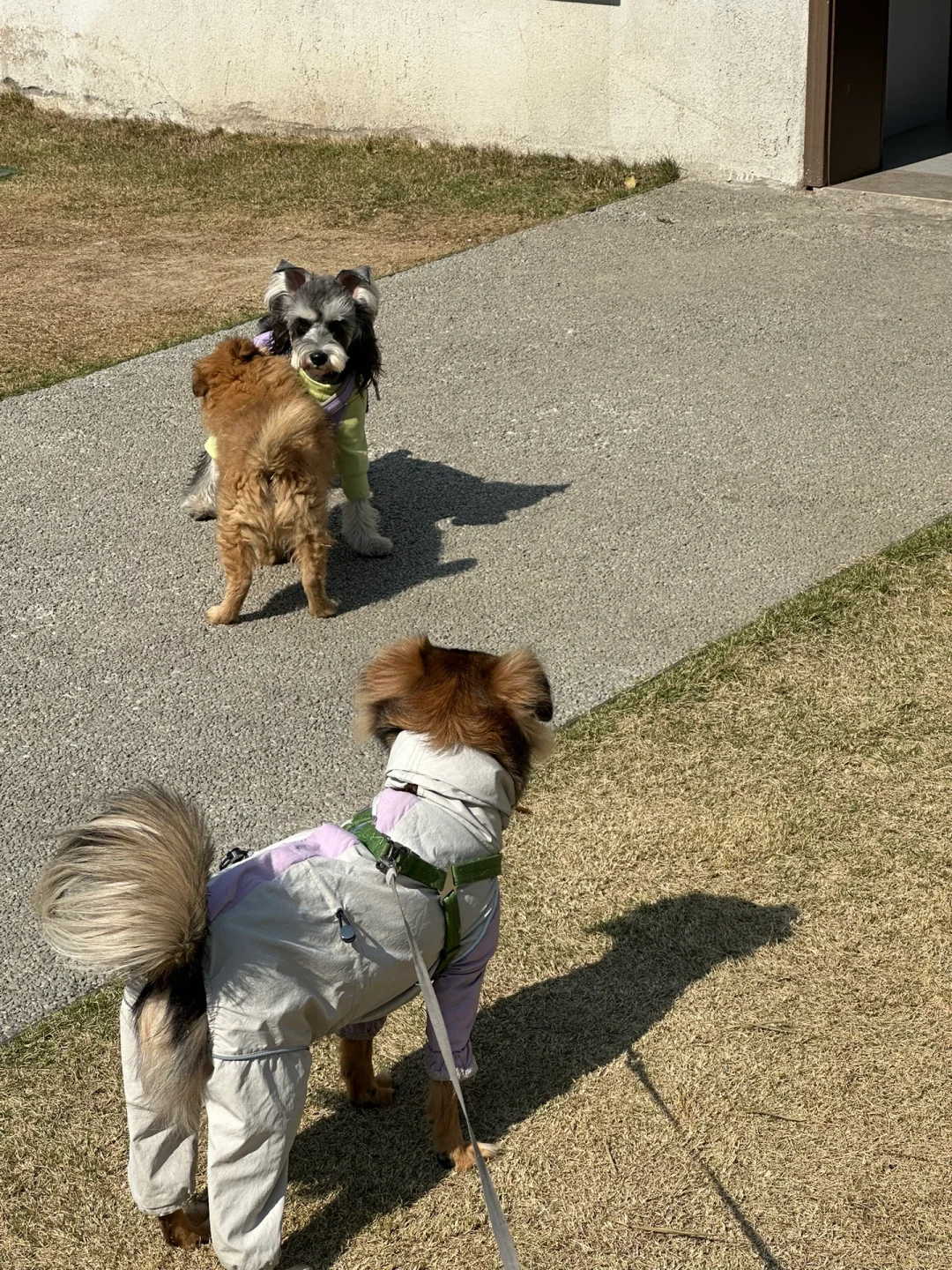 苏州招聘｜不做牛马，来公园里上个班吧！！