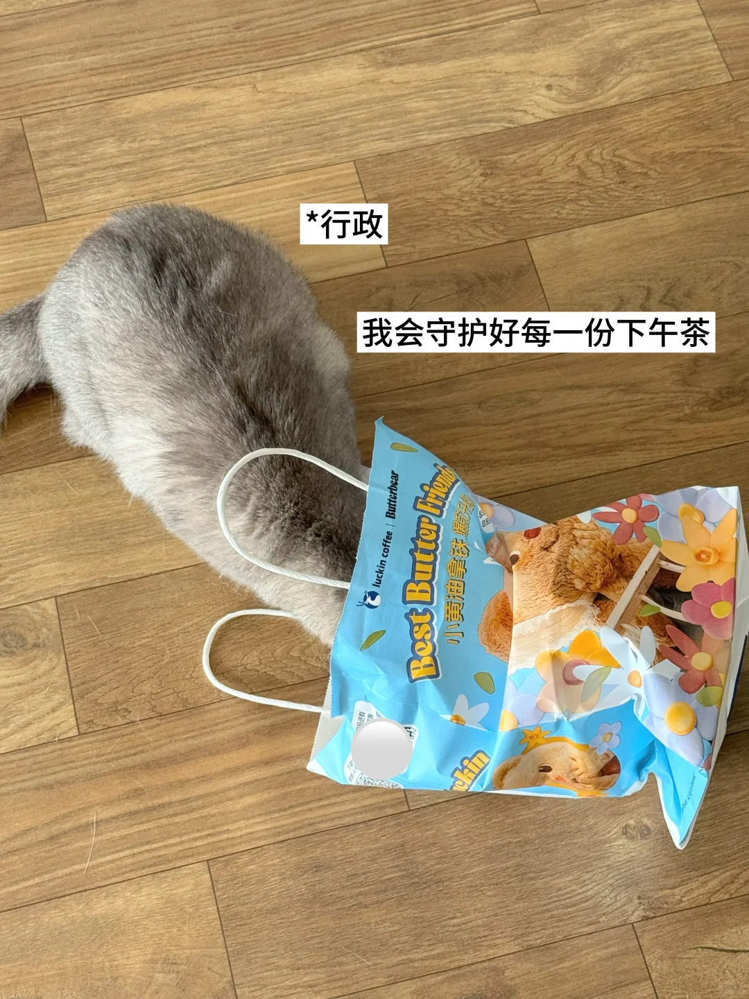 🤔双休宠物公司都有哪些岗位？