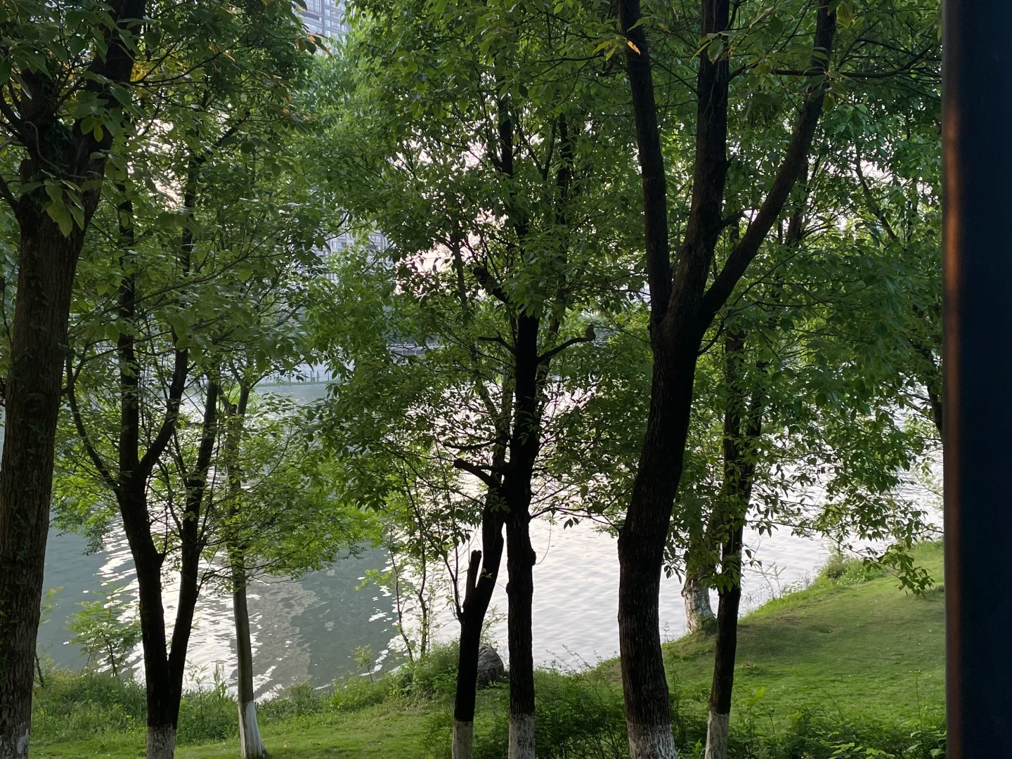 招聘两位男管家（需有经验）