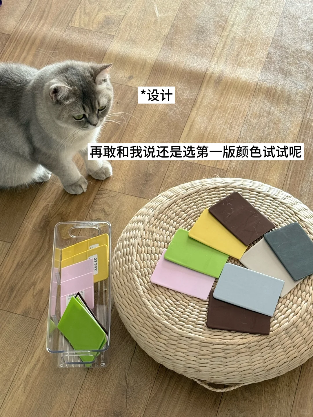 🤔双休宠物公司都有哪些岗位？