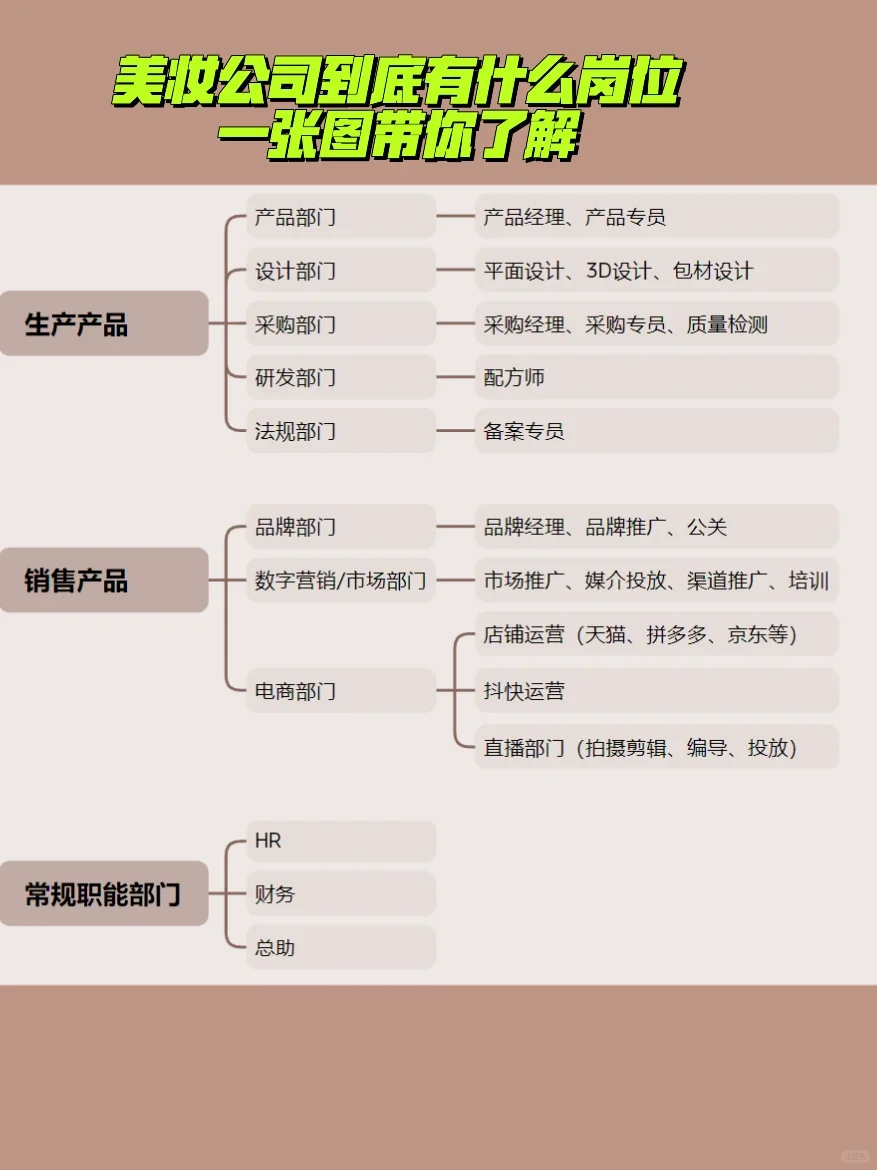 快速了解美妆公司！🔥小白看完已入职
