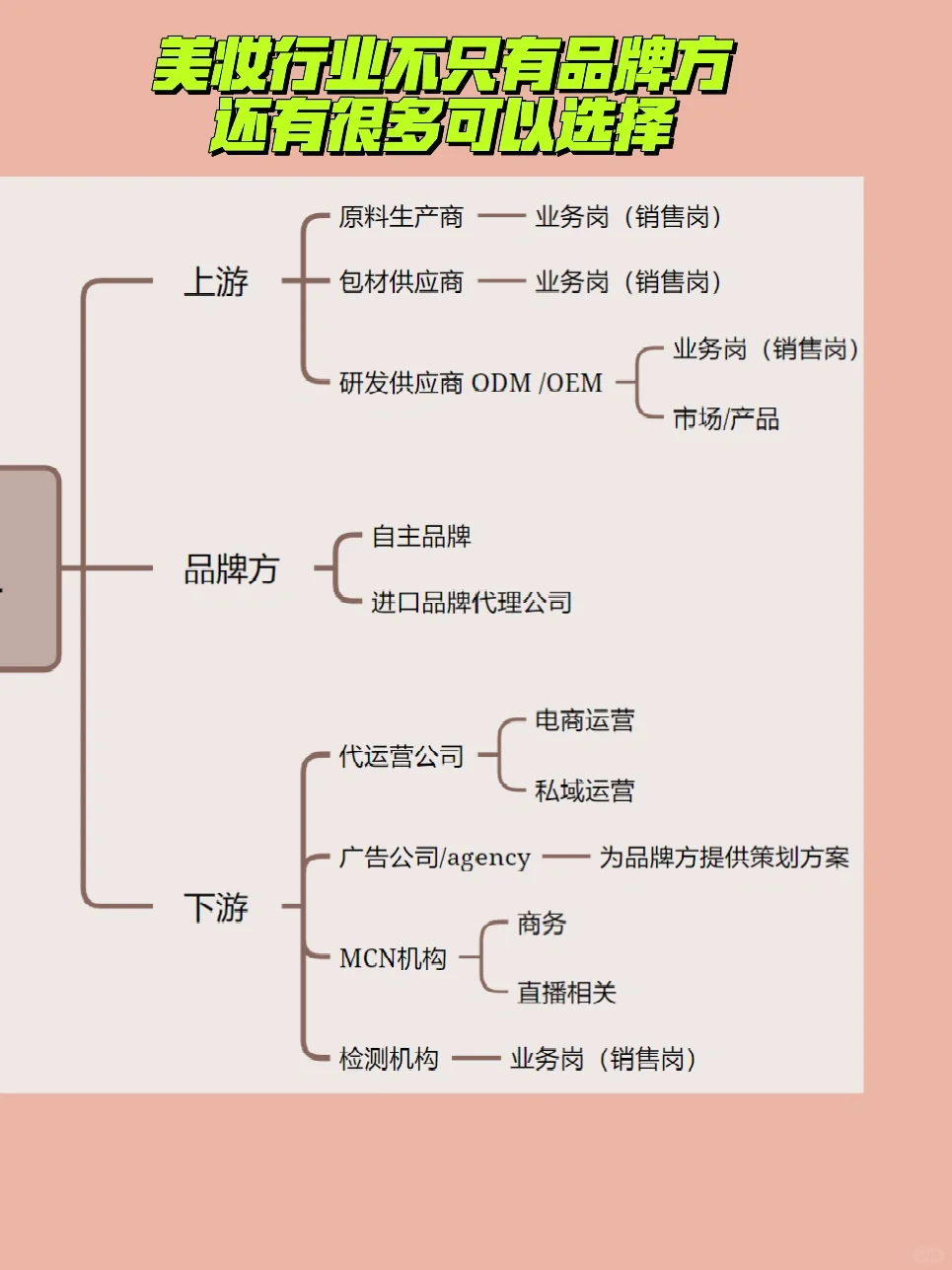 快速了解美妆公司！🔥小白看完已入职