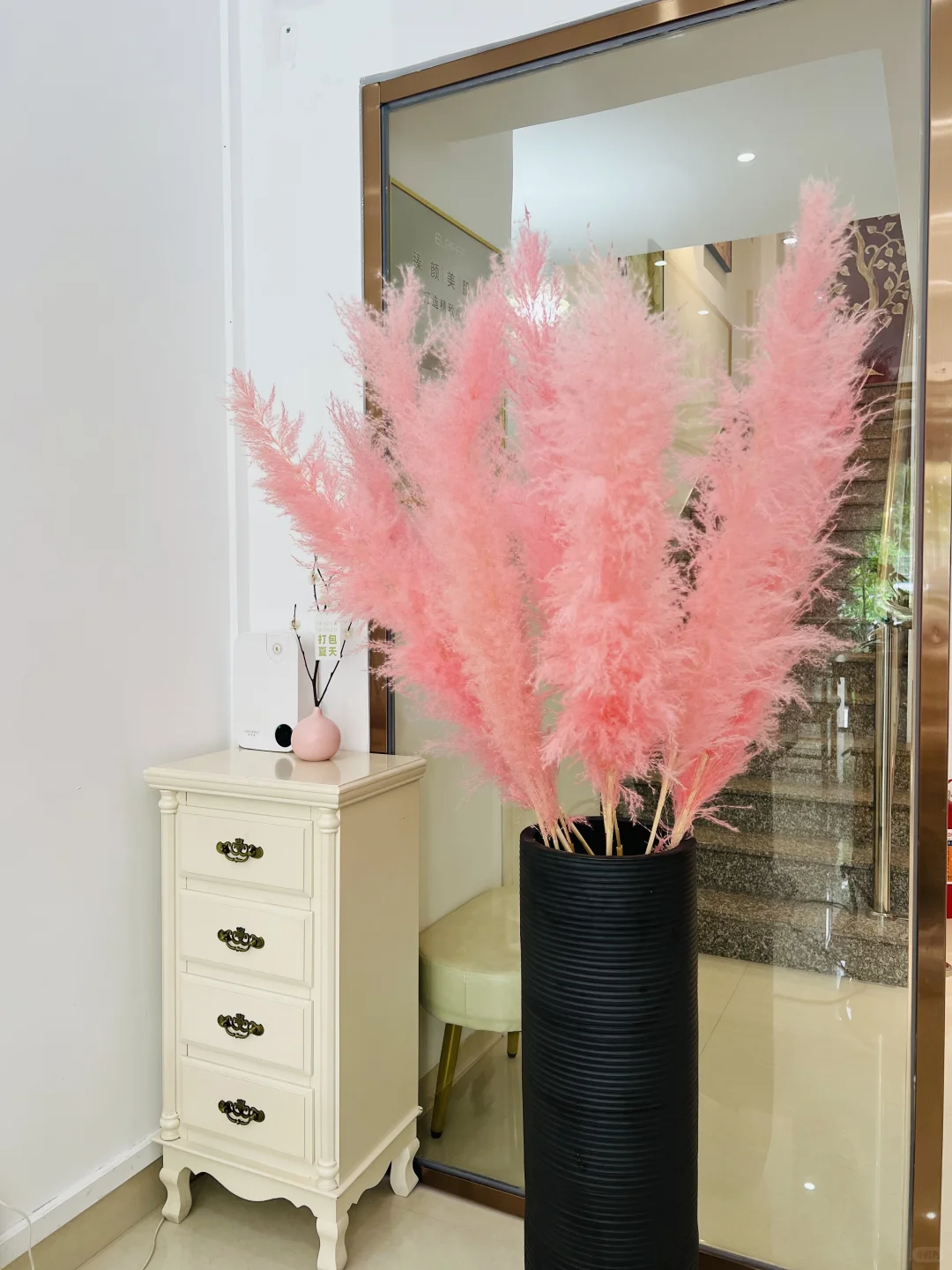 江海区招聘/招贤纳士美容师和学徒