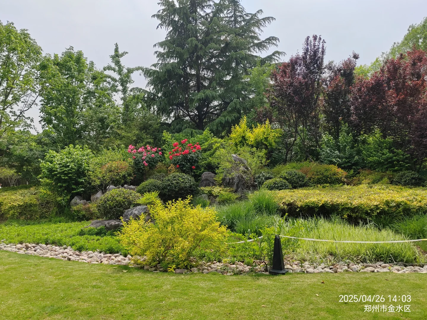 在政府办12年的办事处副职关于提拔心得