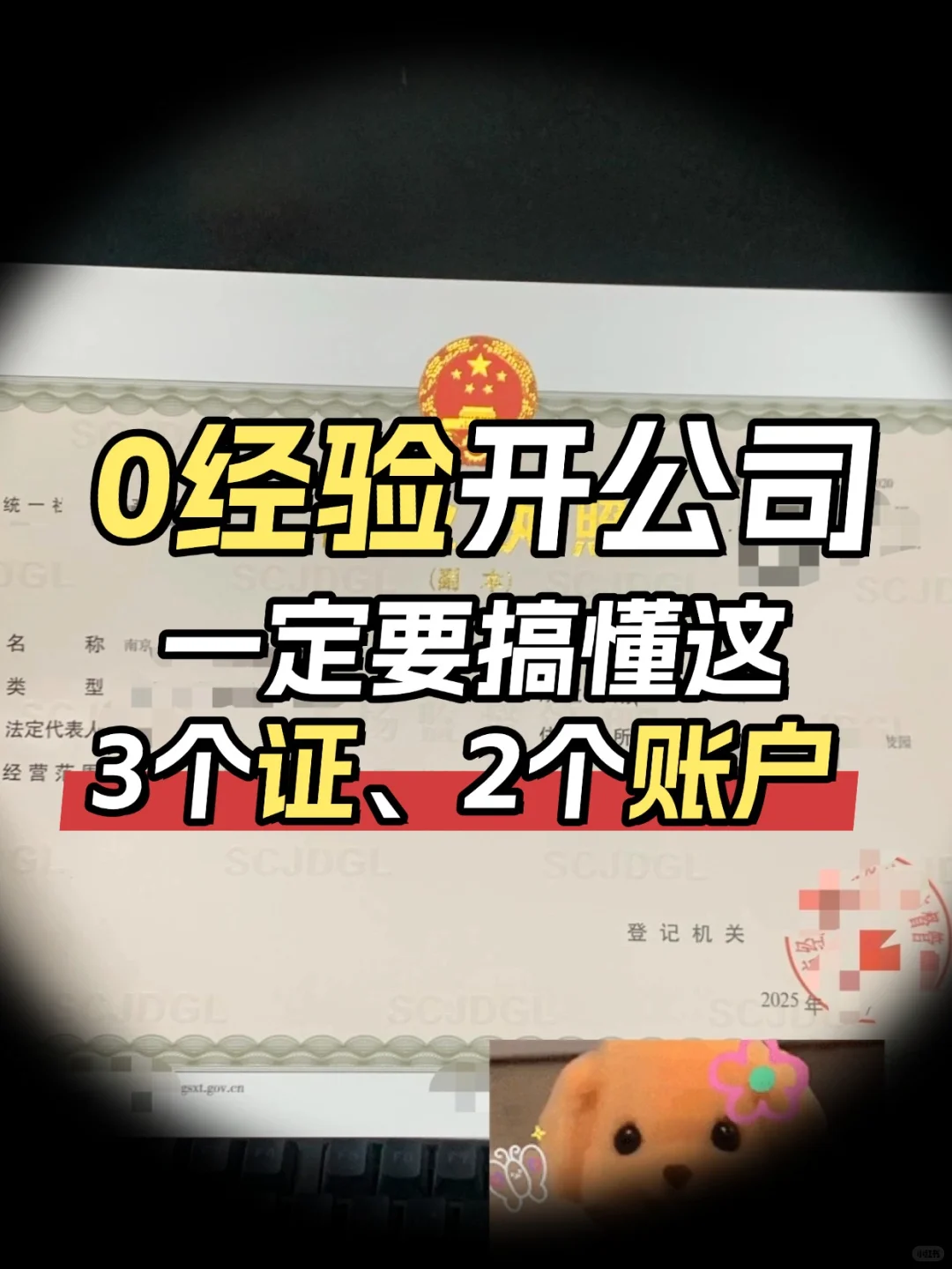 0经验开公司，一定要知道这些事～🧐