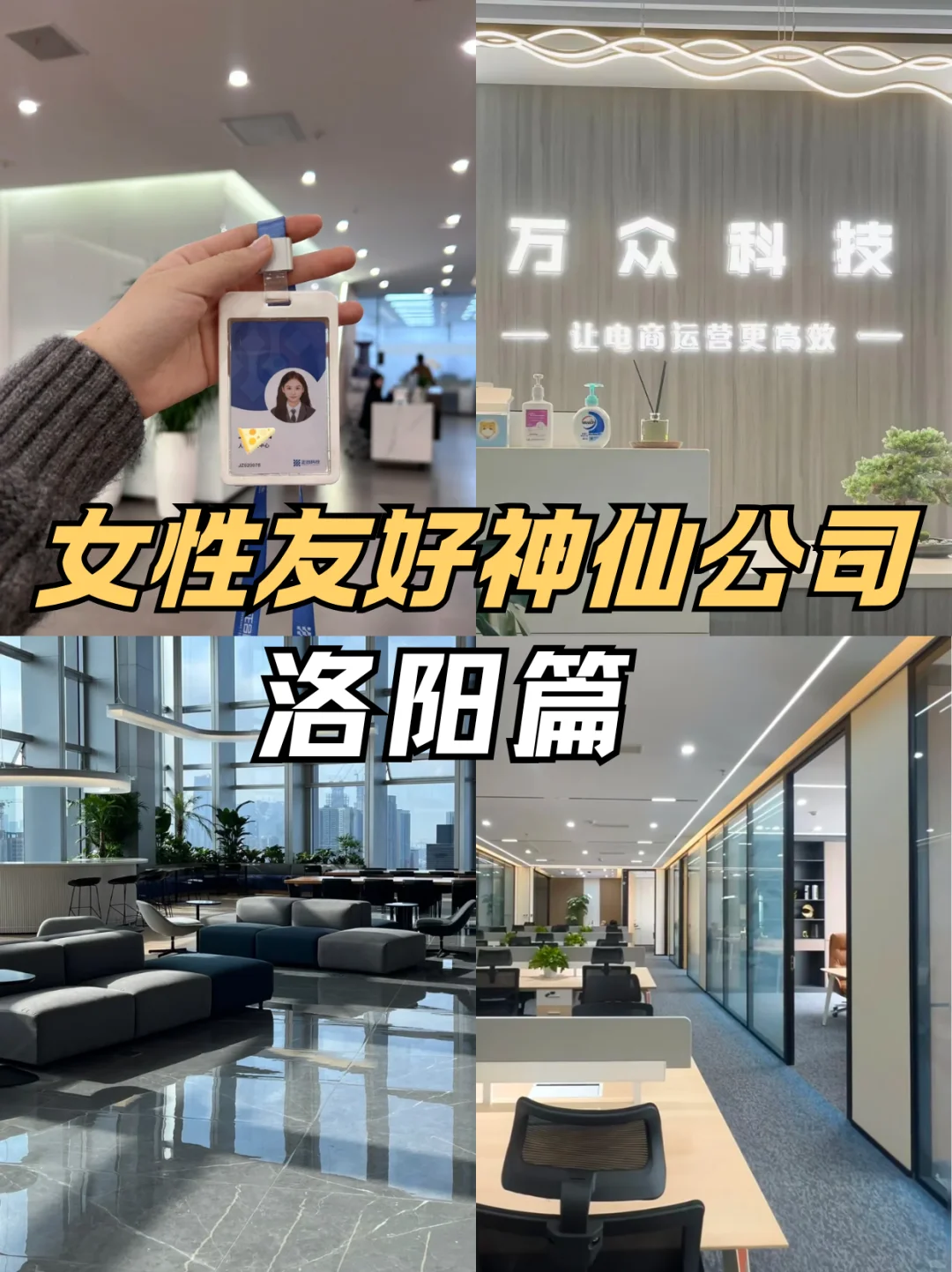 冷门但意外好进的洛阳神仙企业