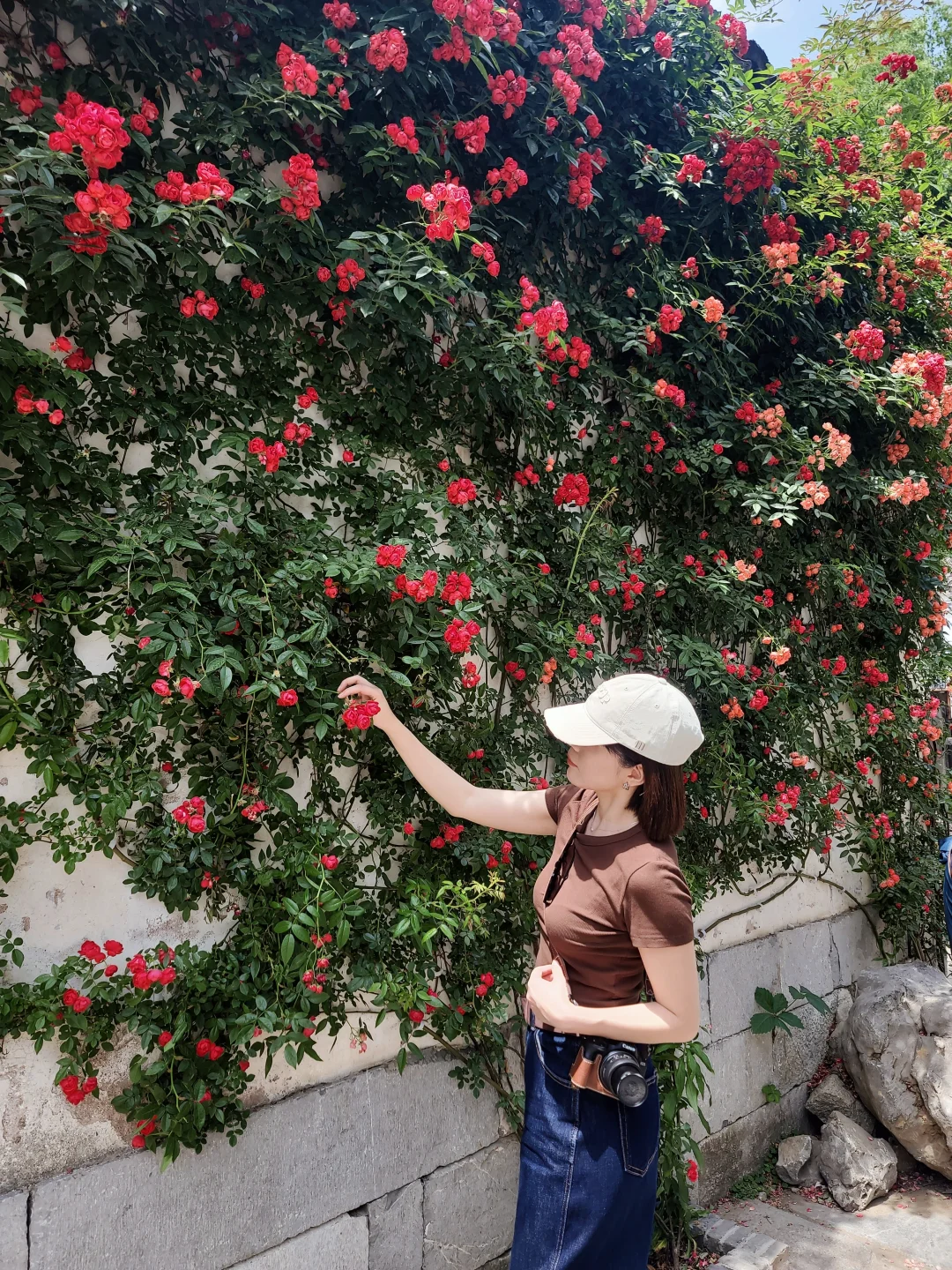 小而美外企工作可不是在boss找的（纯干货篇