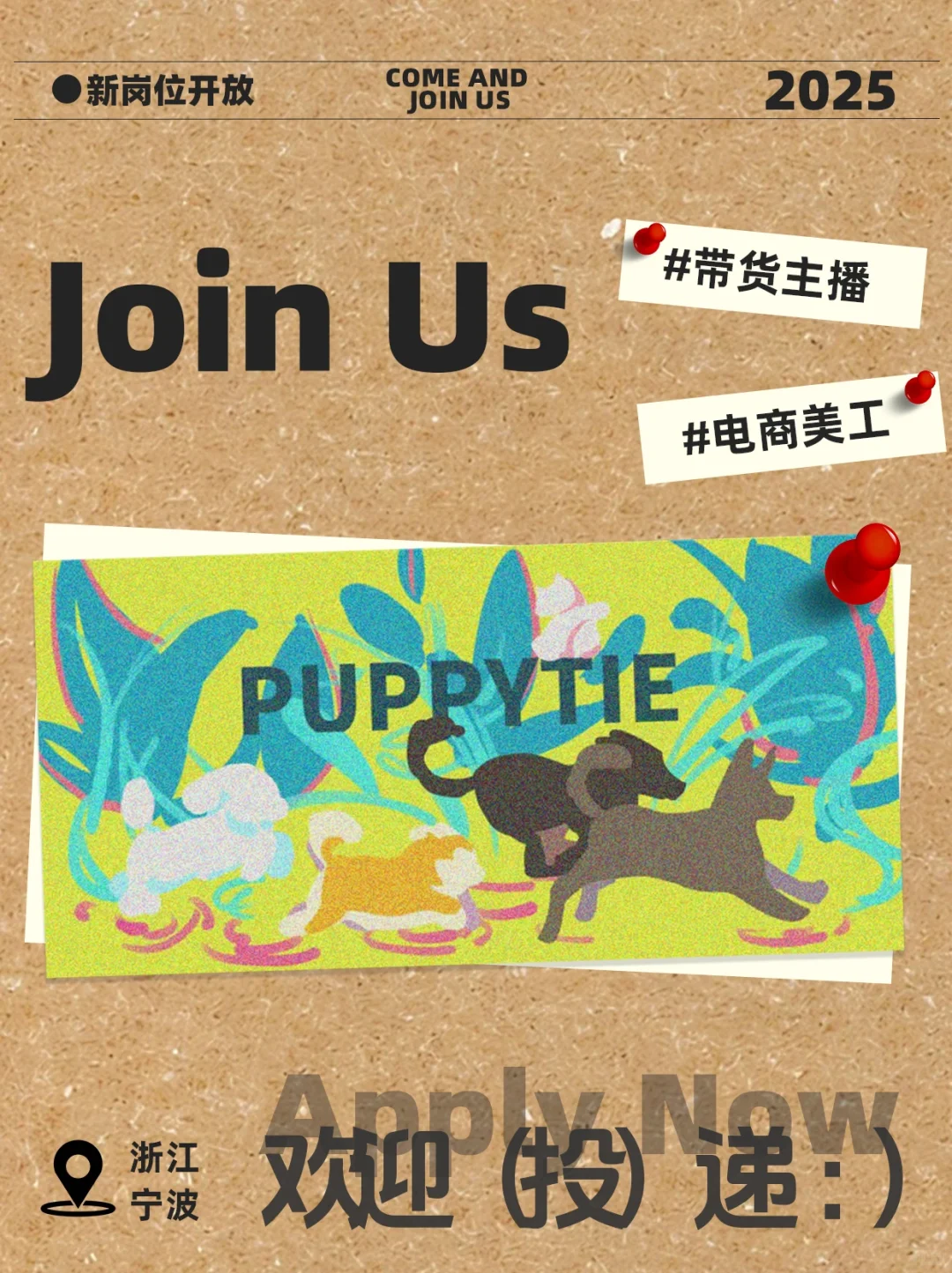 超有活力的宠物公司欢迎你的加入～