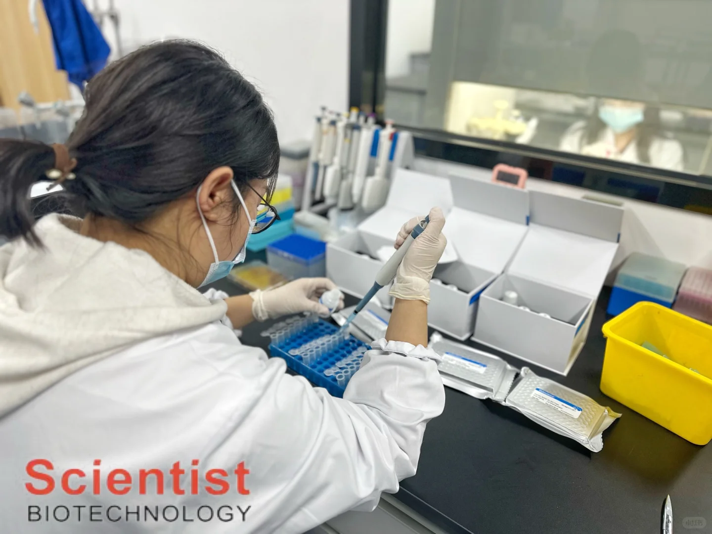 🌟 成都武侯生物检测服务销售工作🌟