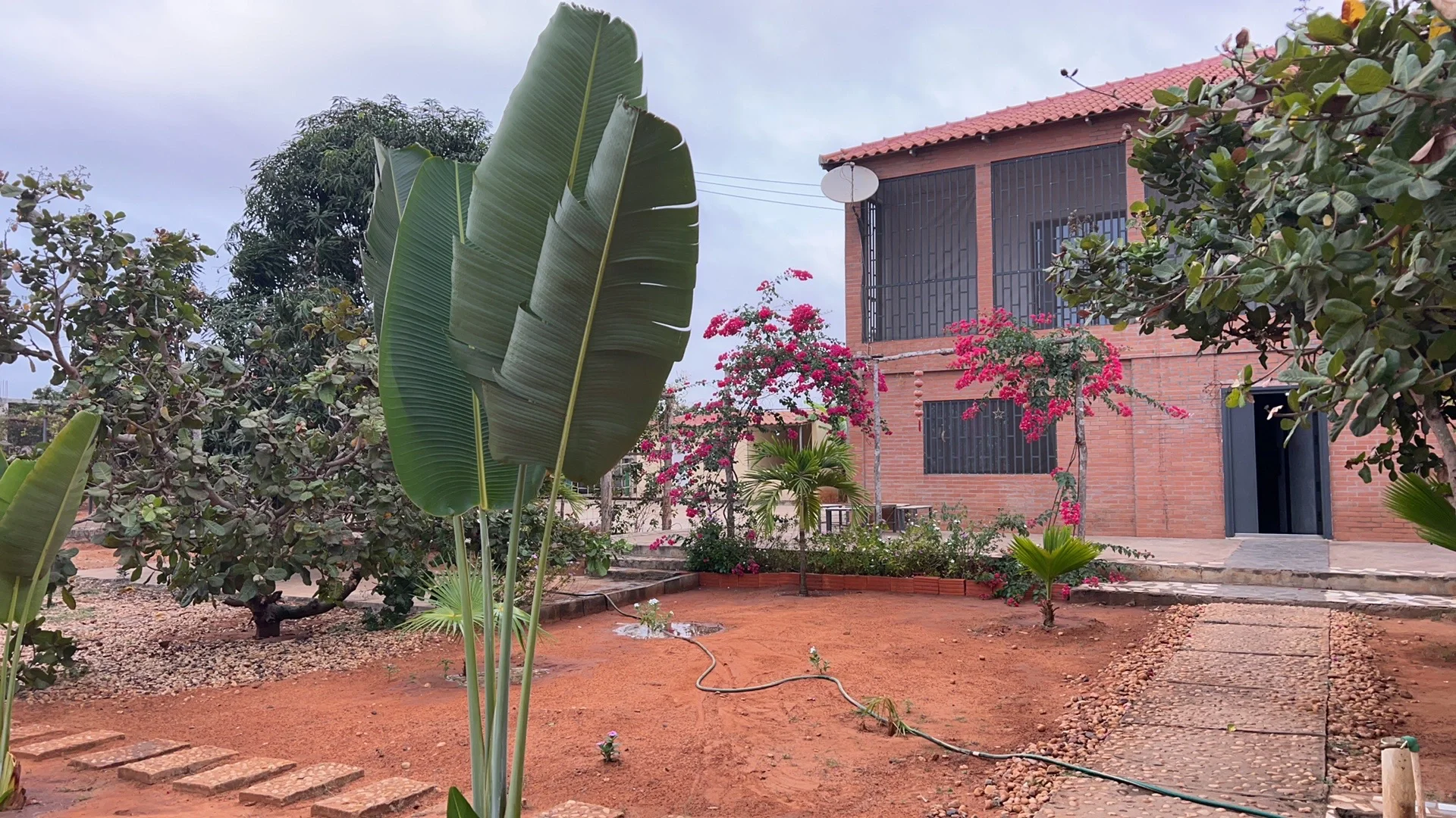 需要出纳，会计