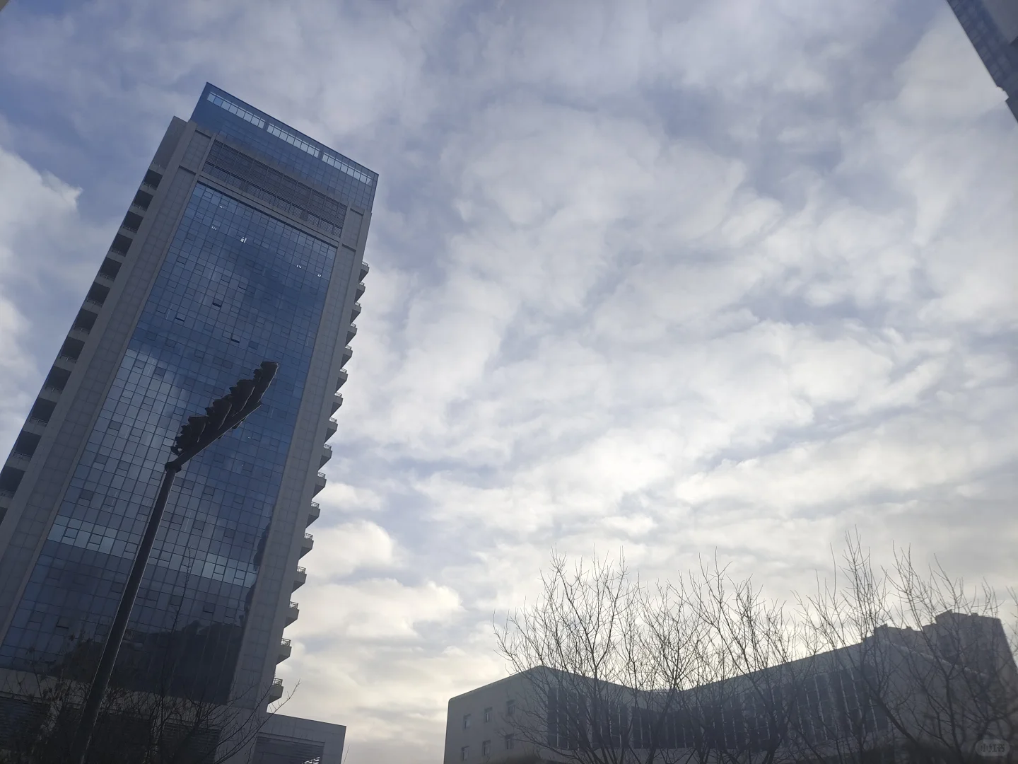 六险一金,双休,不加班的销售工作来啦!