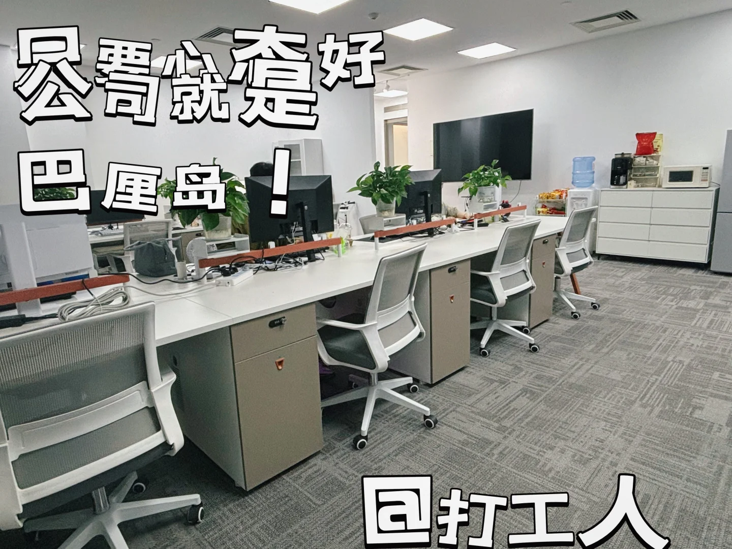 听说小红书招人比Boss好用 我来招人啦~