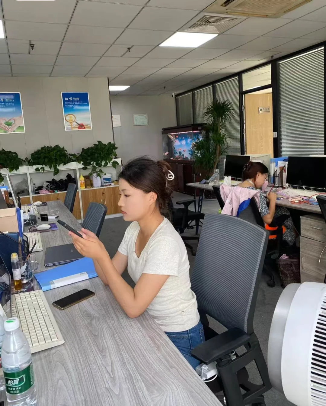 🎀公司内部办公室文员🎀