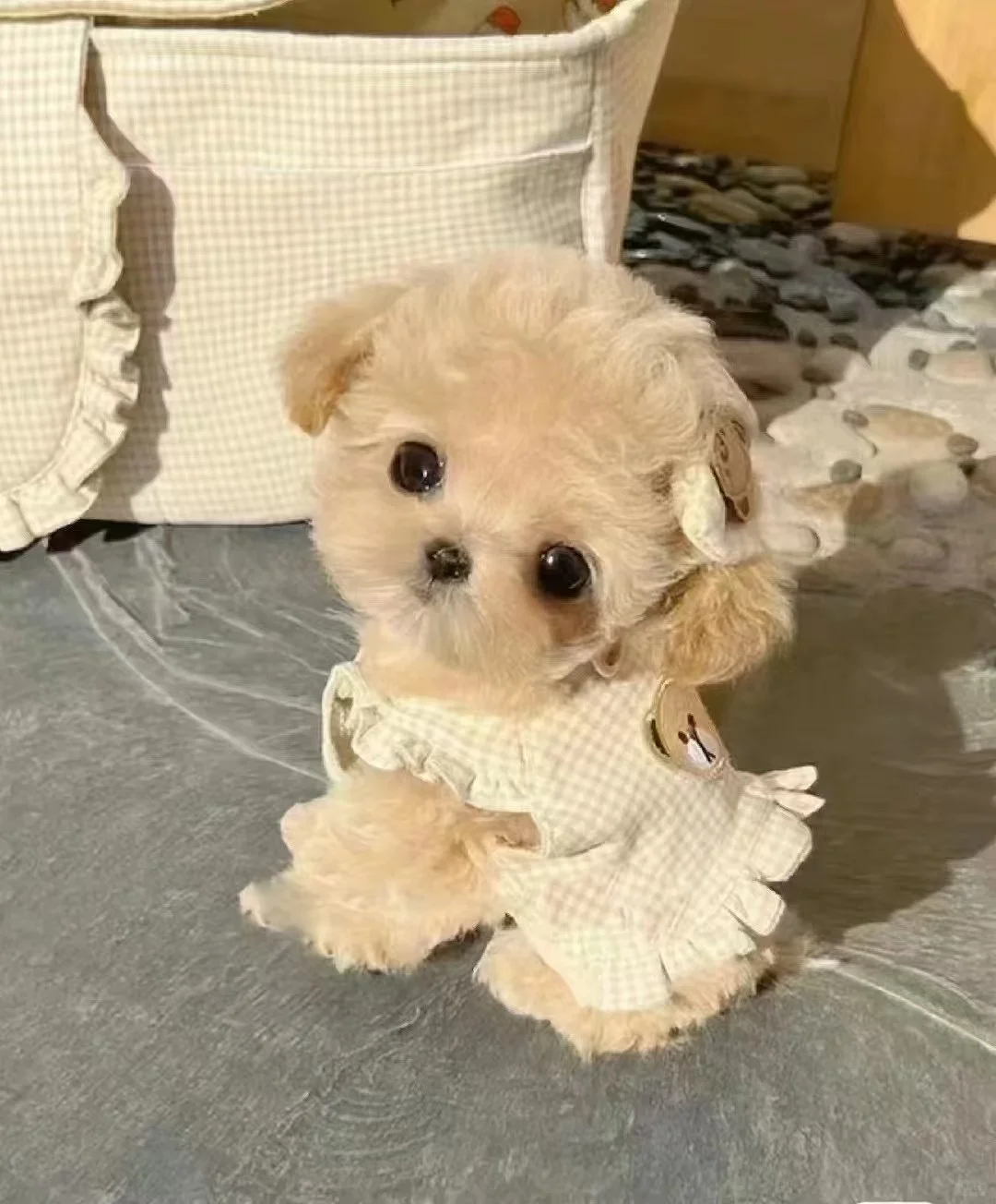 没有人想上班了吗