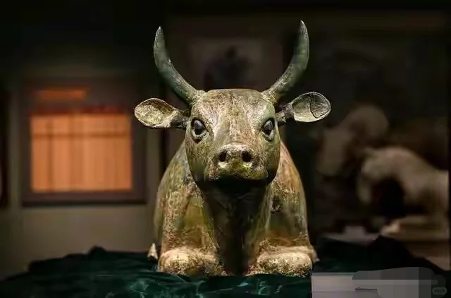 宁夏博物馆详细游玩攻略，必打卡