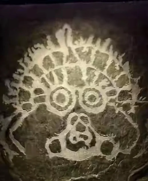 宁夏博物馆详细游玩攻略，必打卡