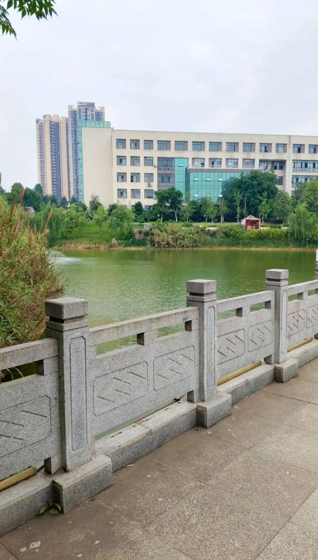 录取的集合啦！！