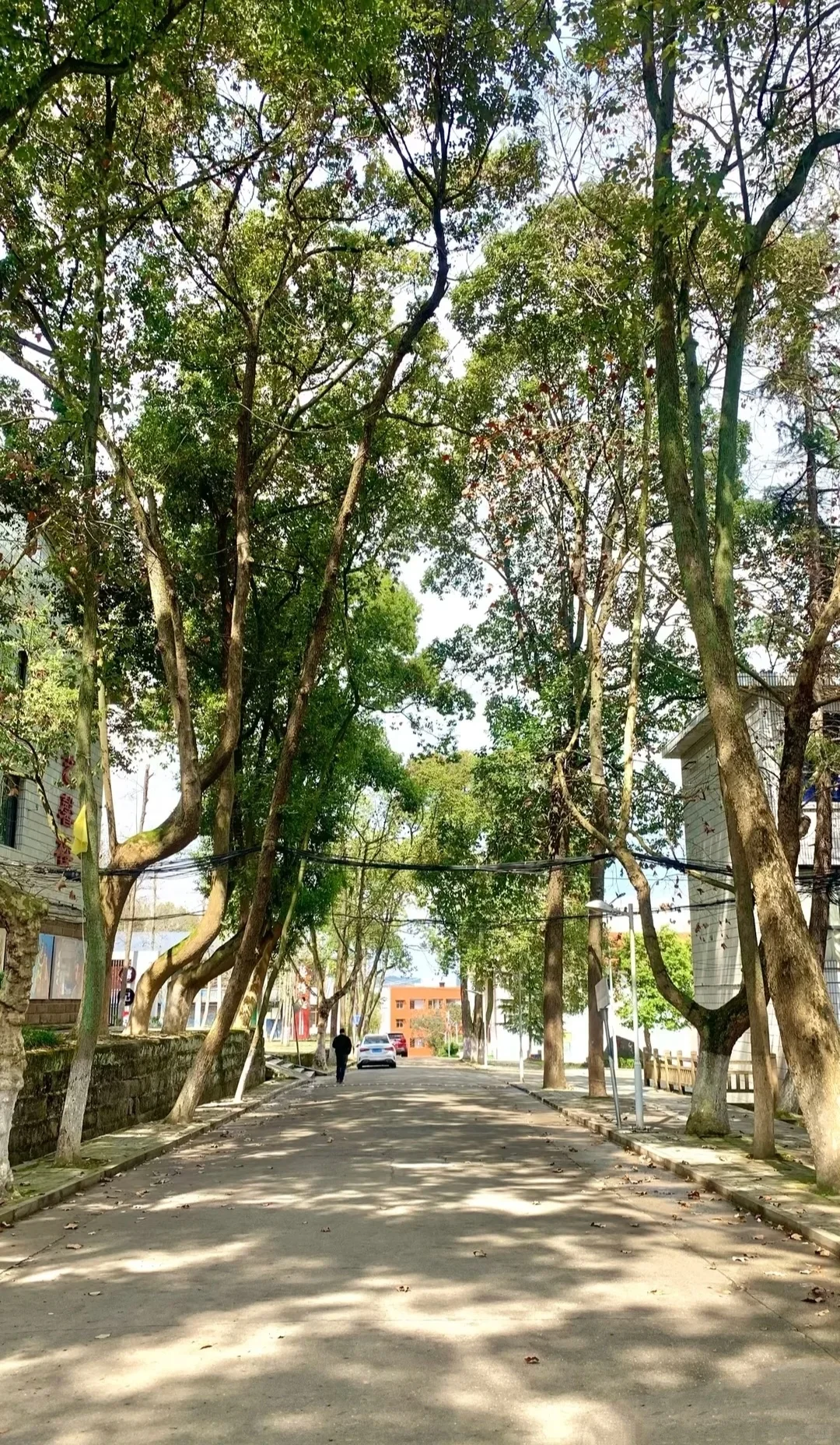 录取的集合啦！！