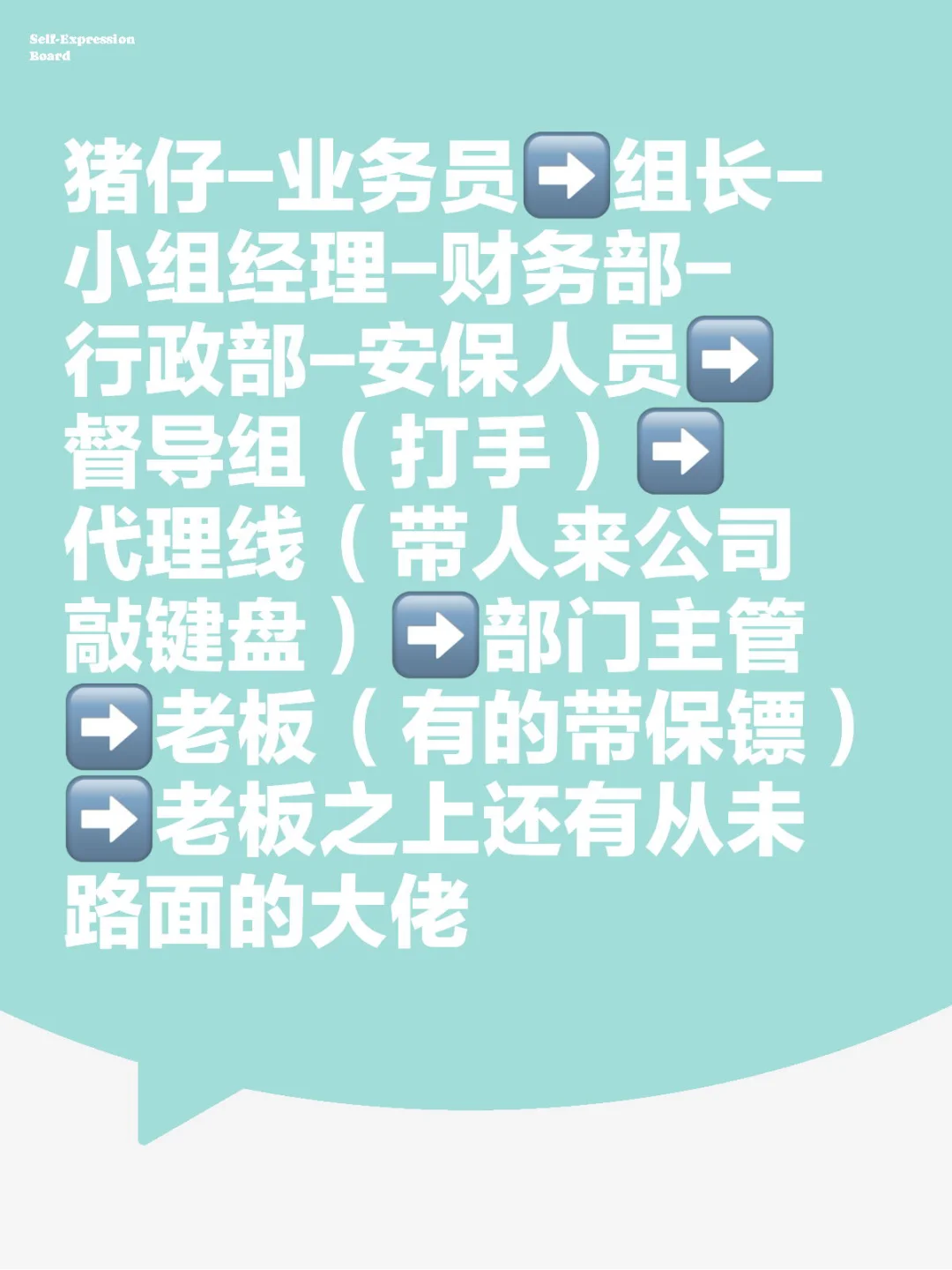 部分电诈公司等级划分