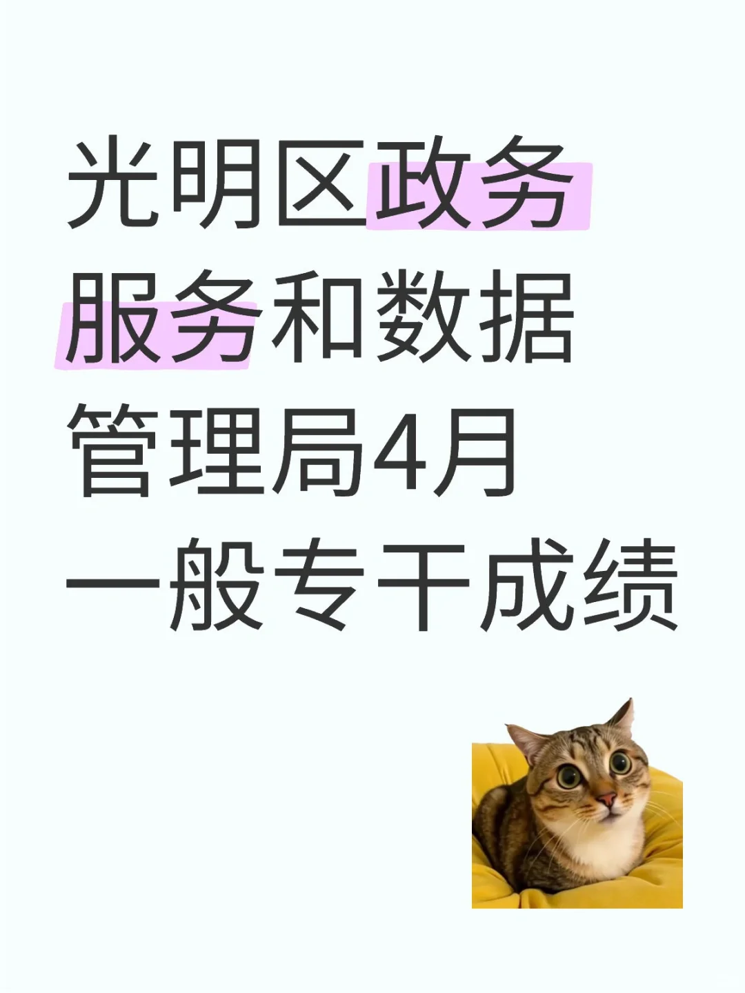 4月光明区政务服务和数据管理局专干