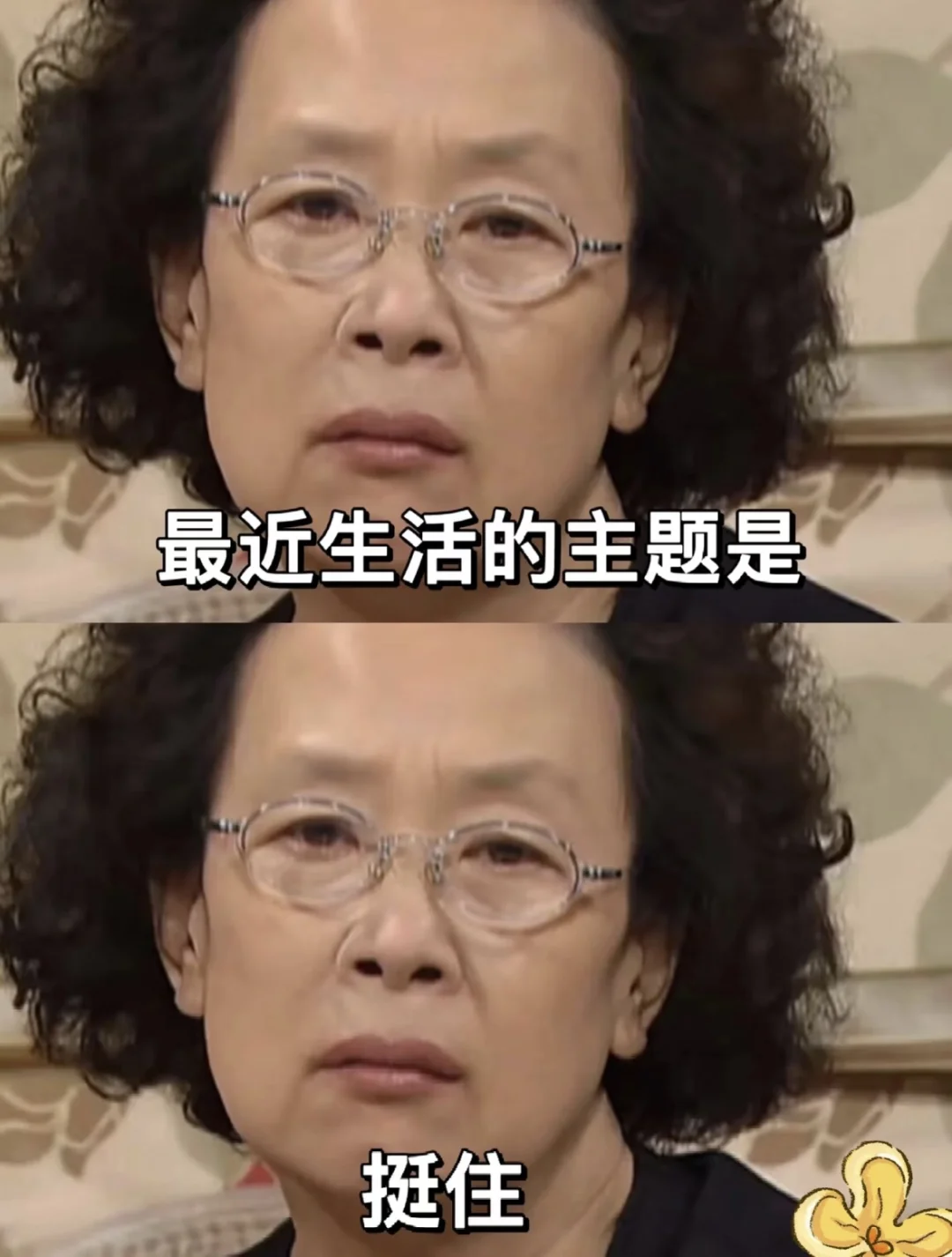 这一集太现实了，笑到泪目！