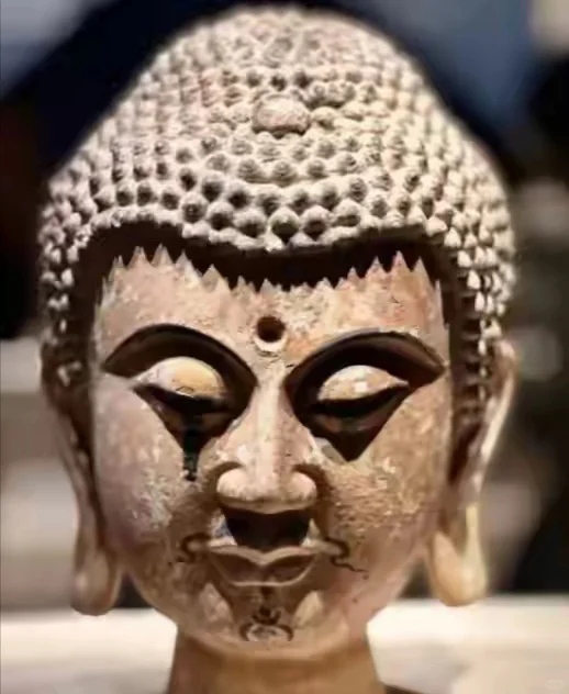 宁夏博物馆详细游玩攻略，必打卡